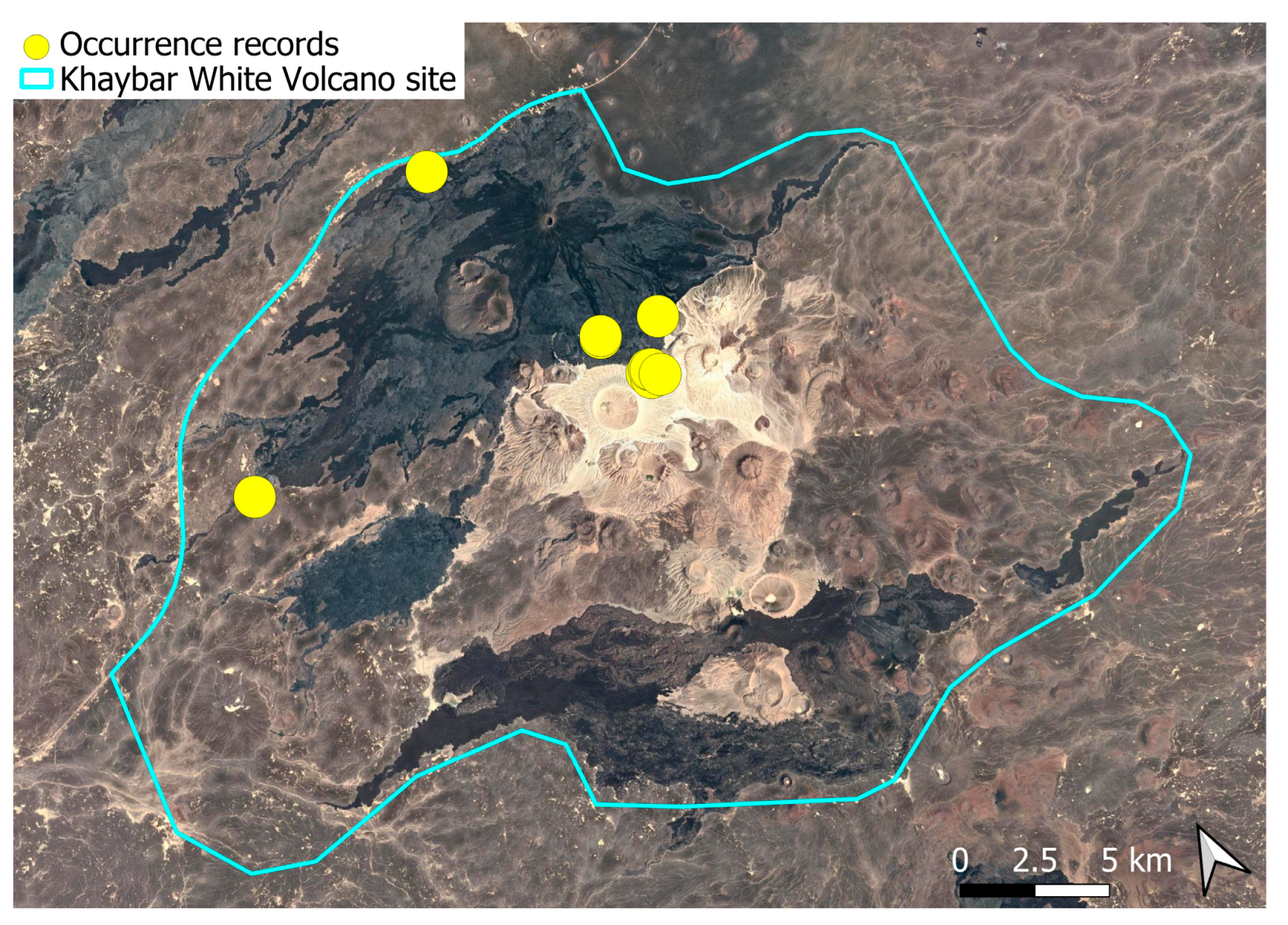 Plants 14 03423 g031