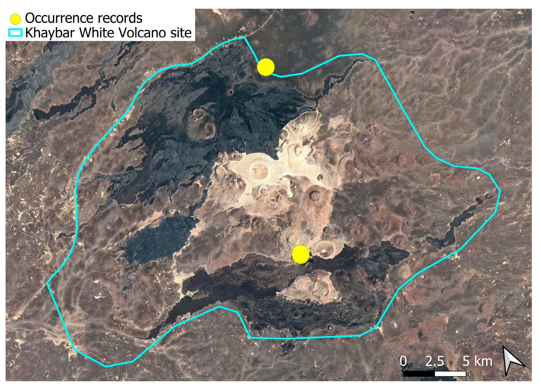 Plants 14 03423 g032