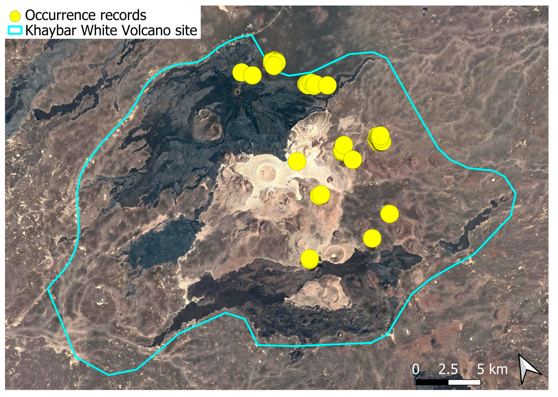 Plants 14 03423 g033