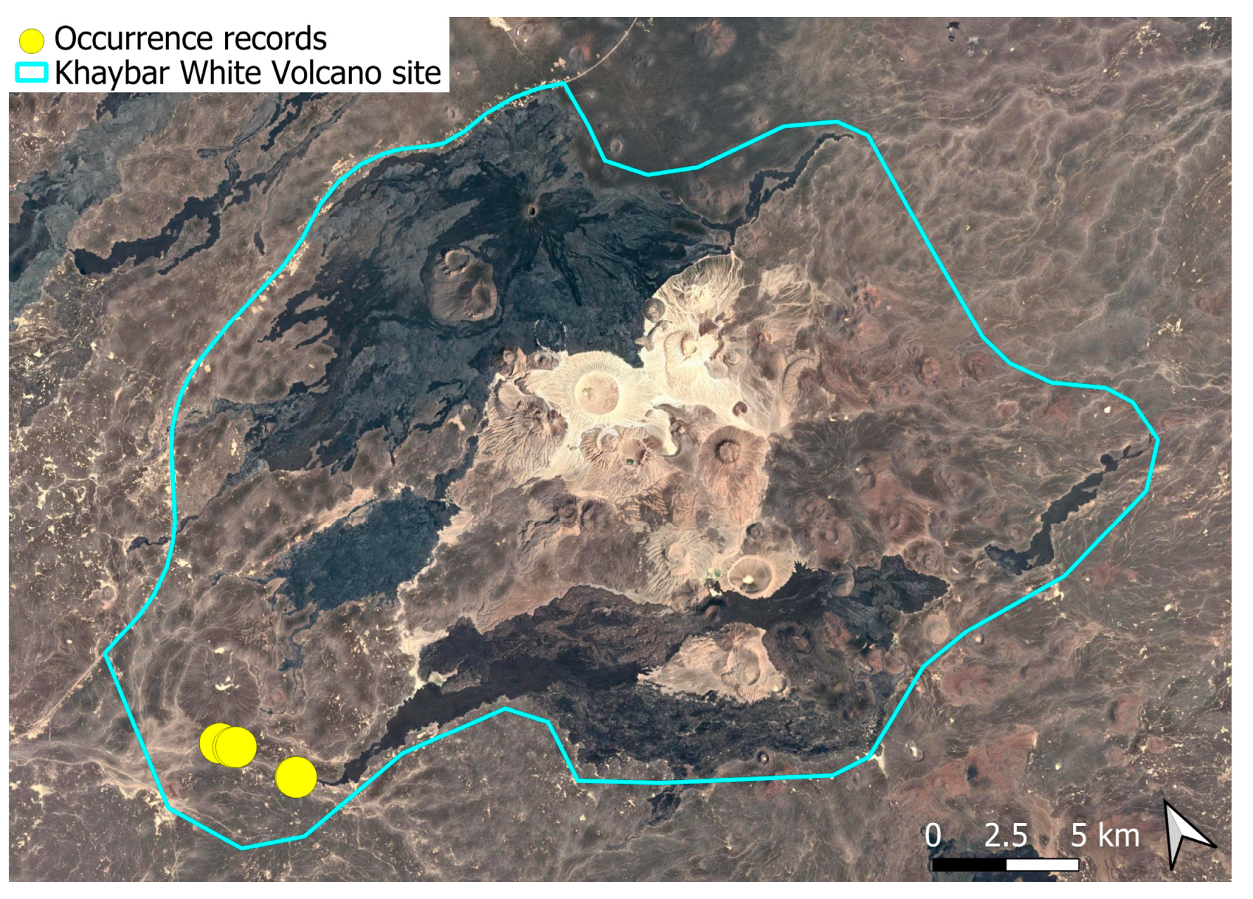 Plants 14 03423 g034