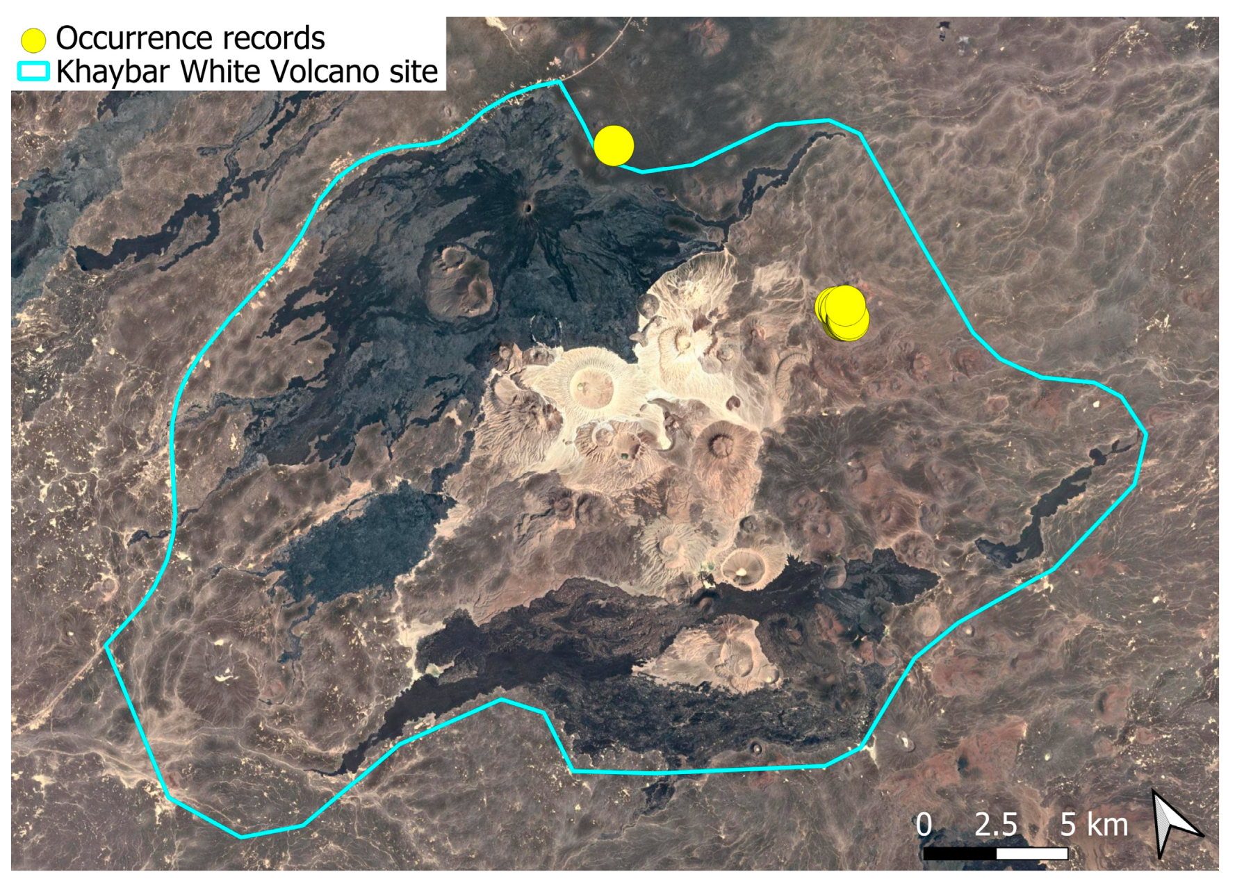 Plants 14 03423 g035