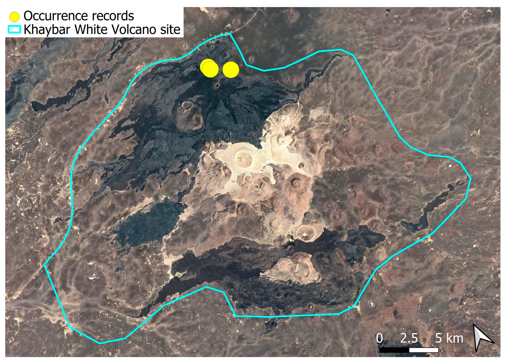 Plants 14 03423 g036