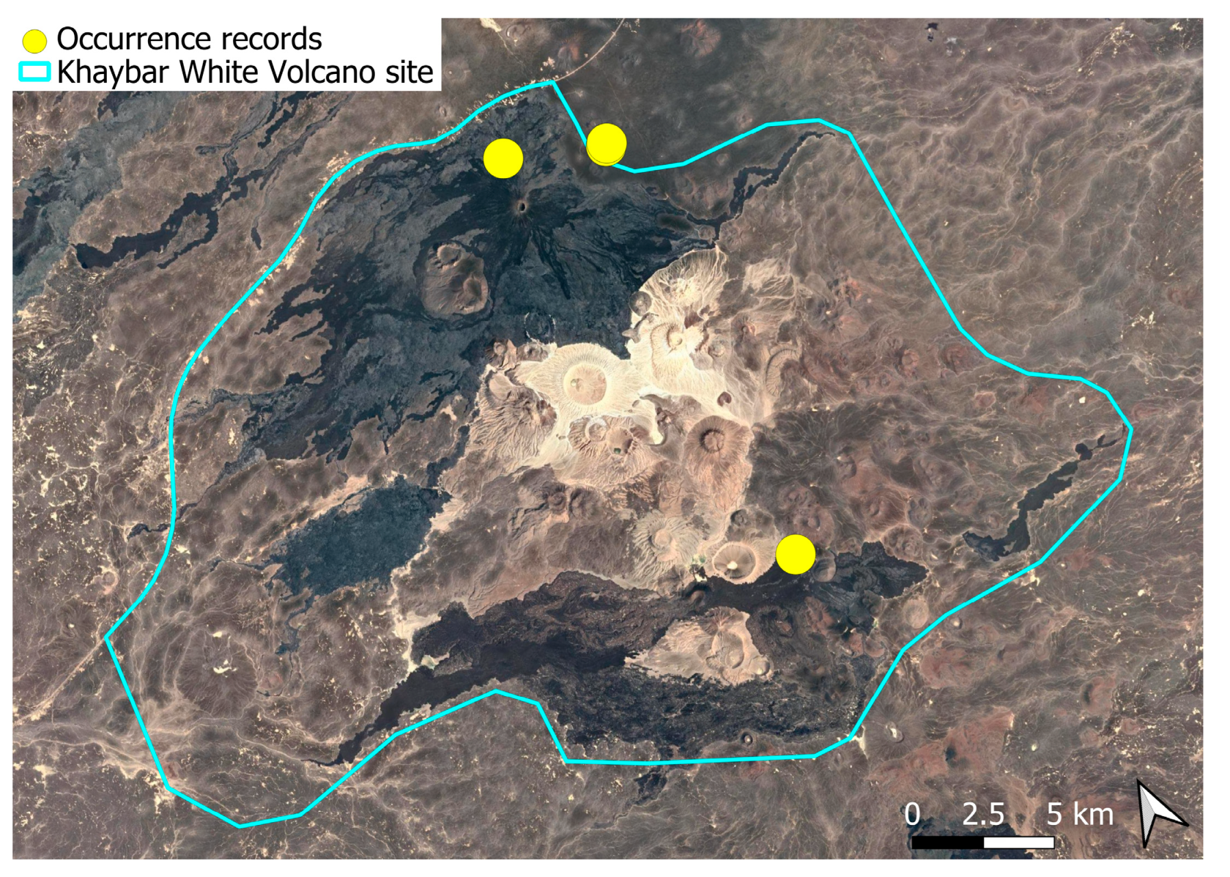 Plants 14 03423 g038