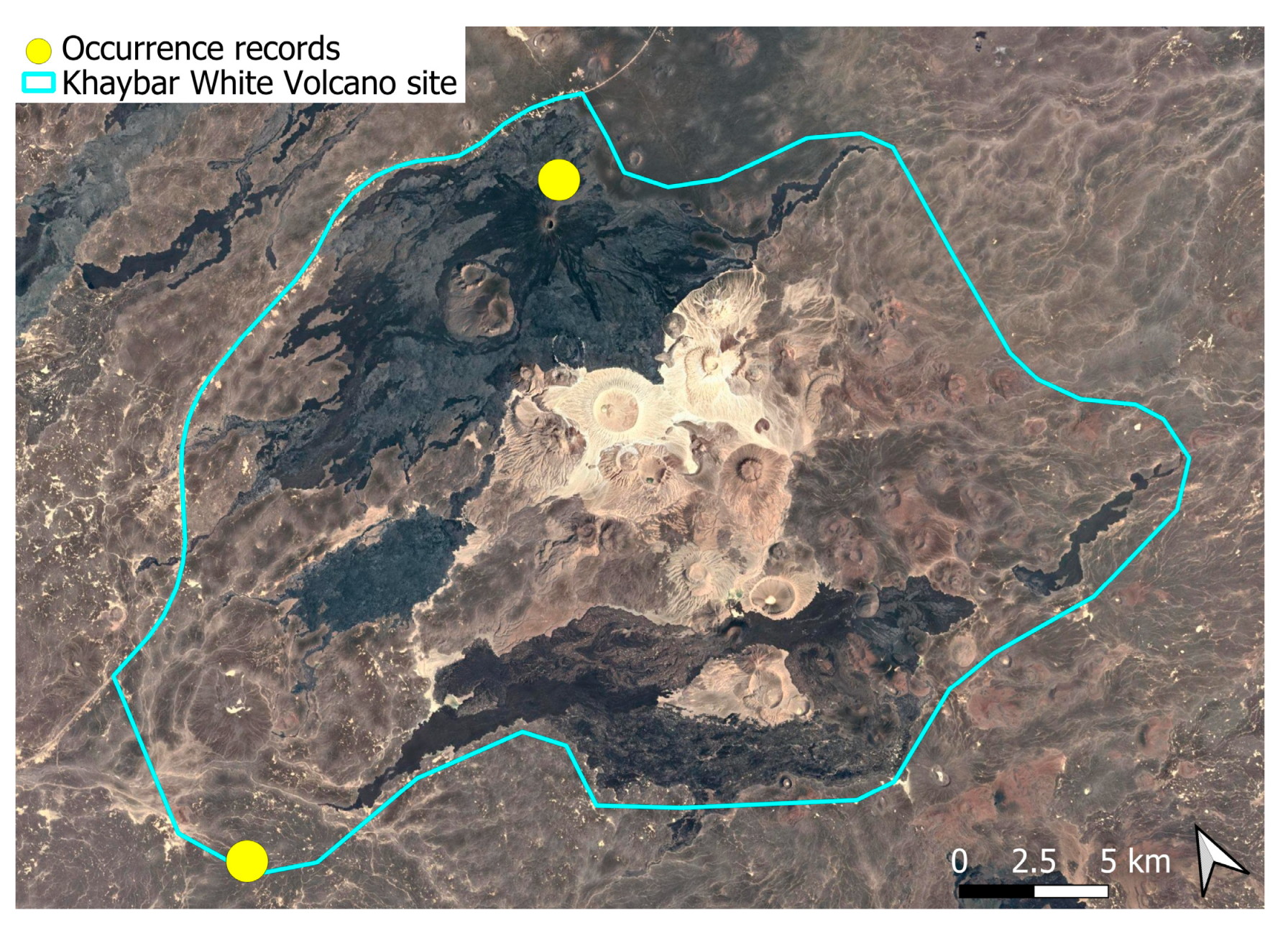 Plants 14 03423 g039