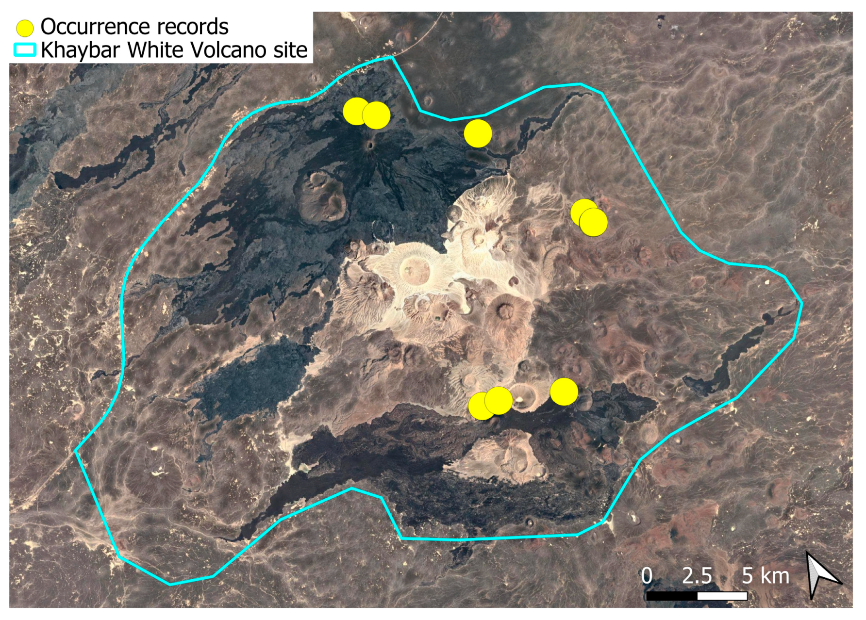 Plants 14 03423 g040