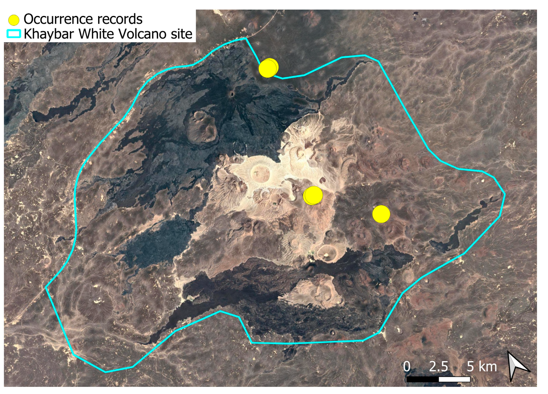 Plants 14 03423 g041