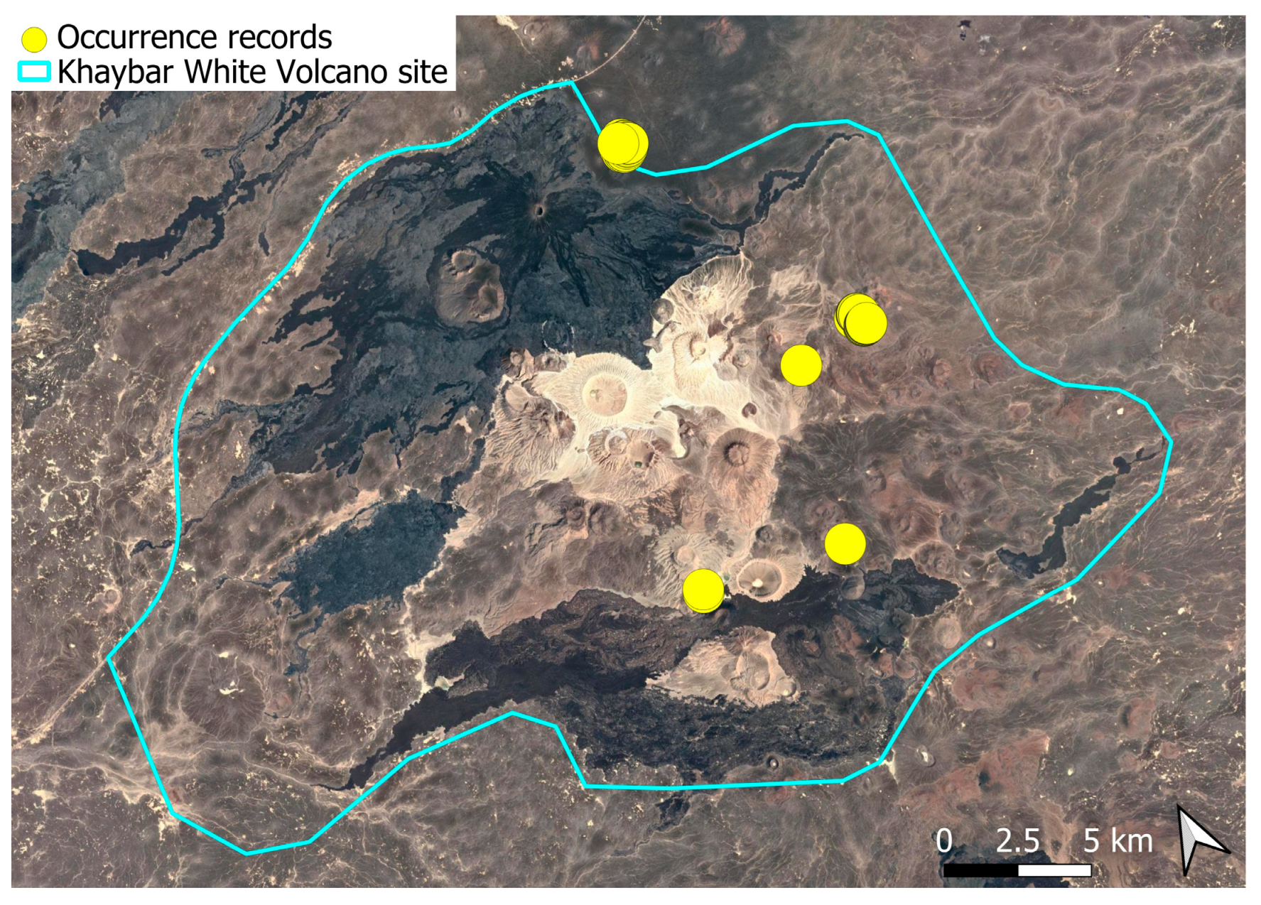 Plants 14 03423 g042