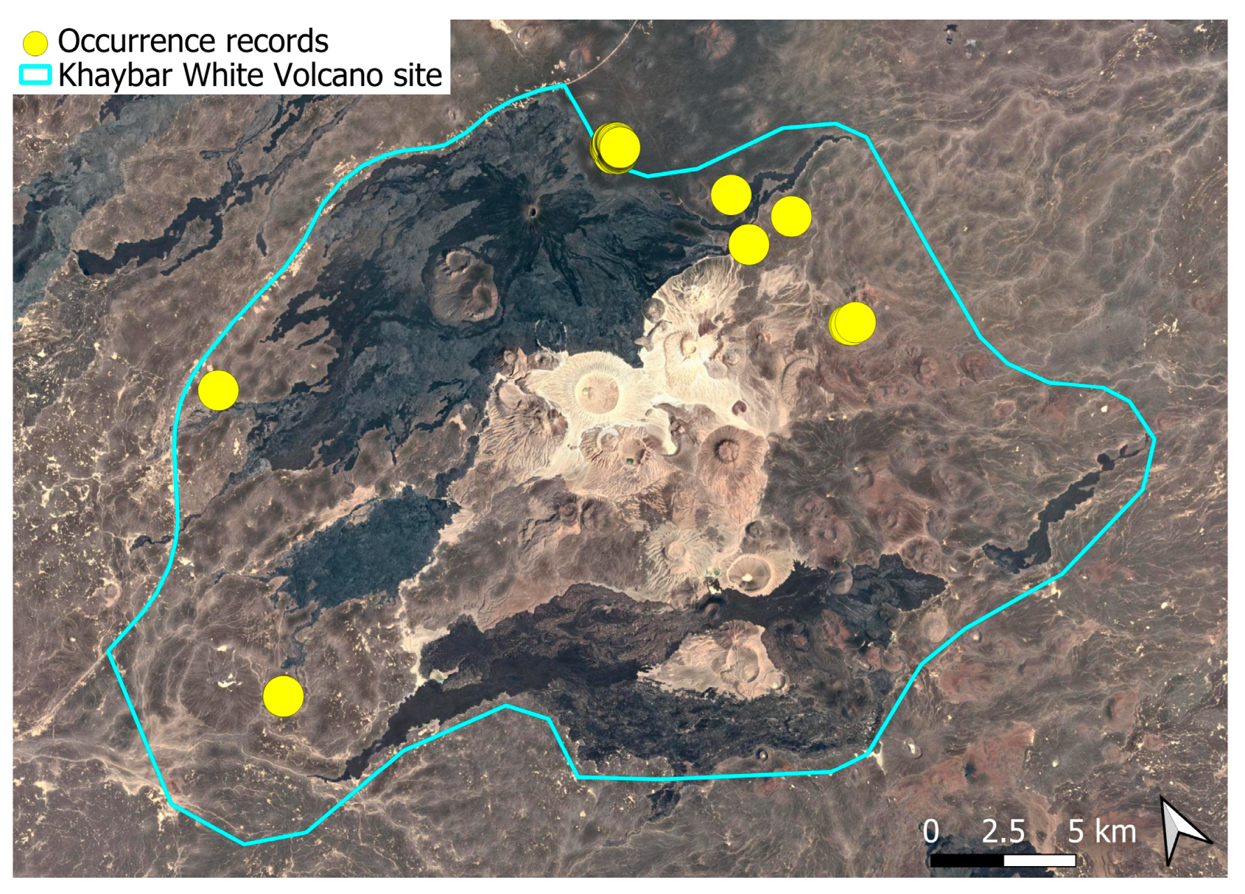 Plants 14 03423 g043