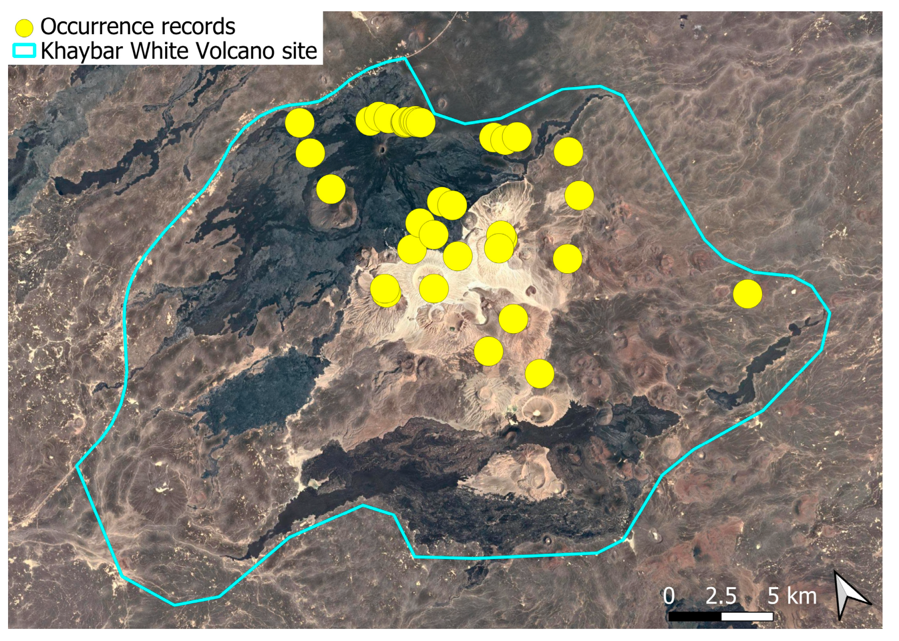 Plants 14 03423 g045