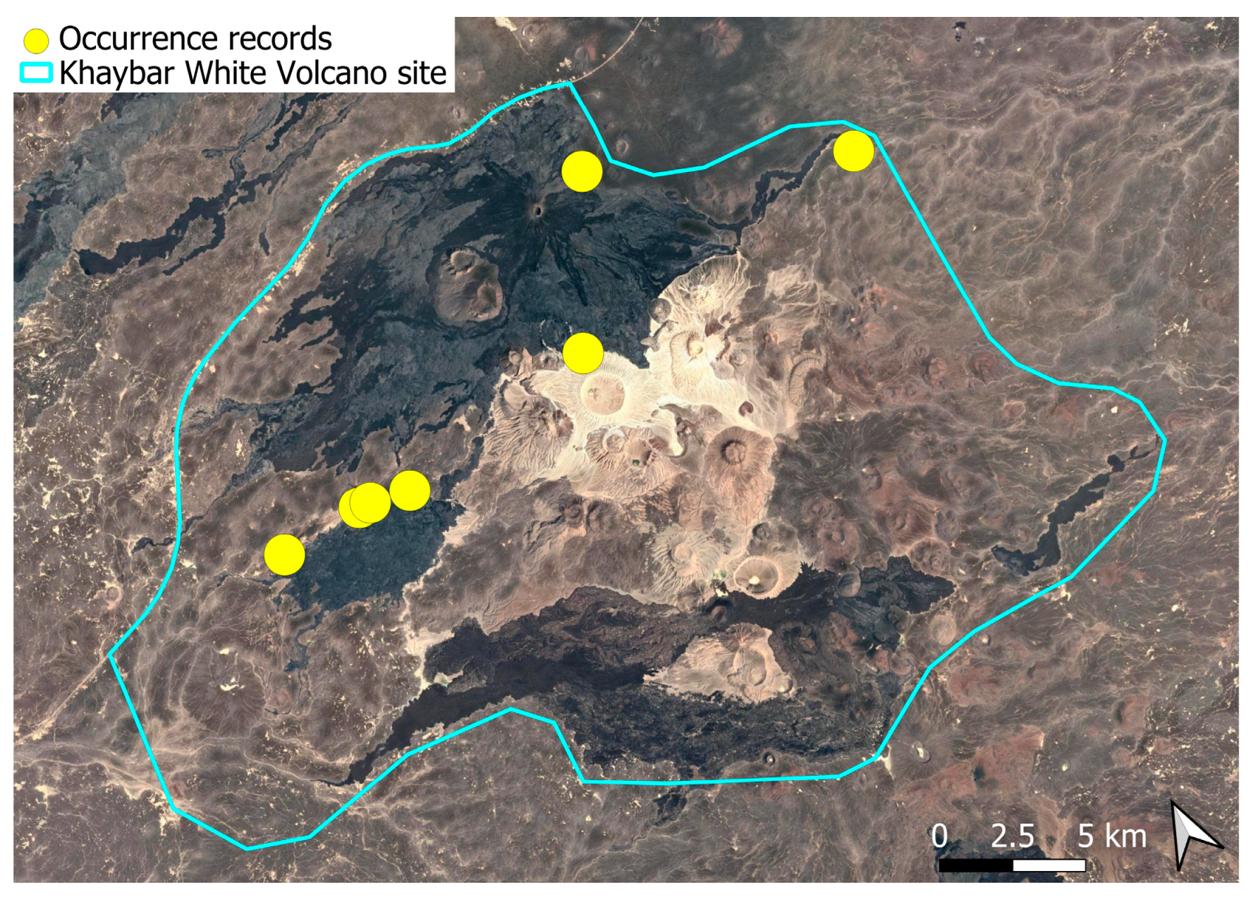 Plants 14 03423 g046