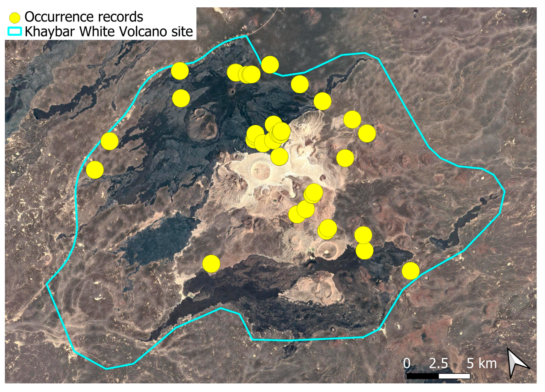 Plants 14 03423 g047