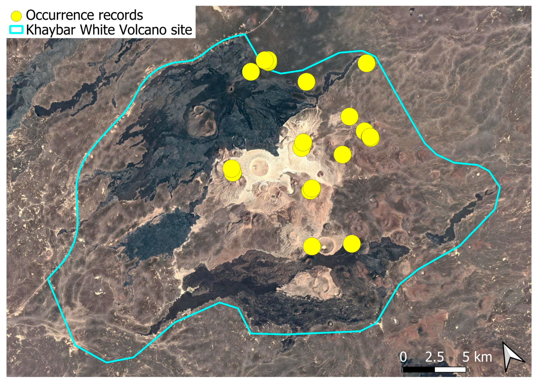 Plants 14 03423 g048