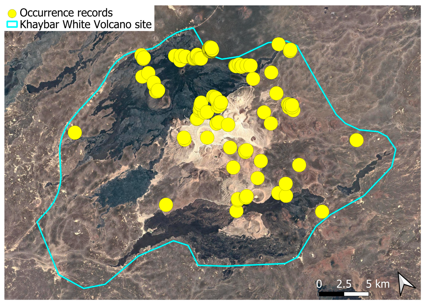 Plants 14 03423 g049