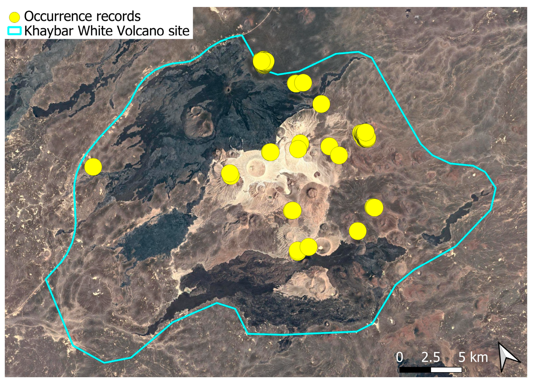 Plants 14 03423 g051