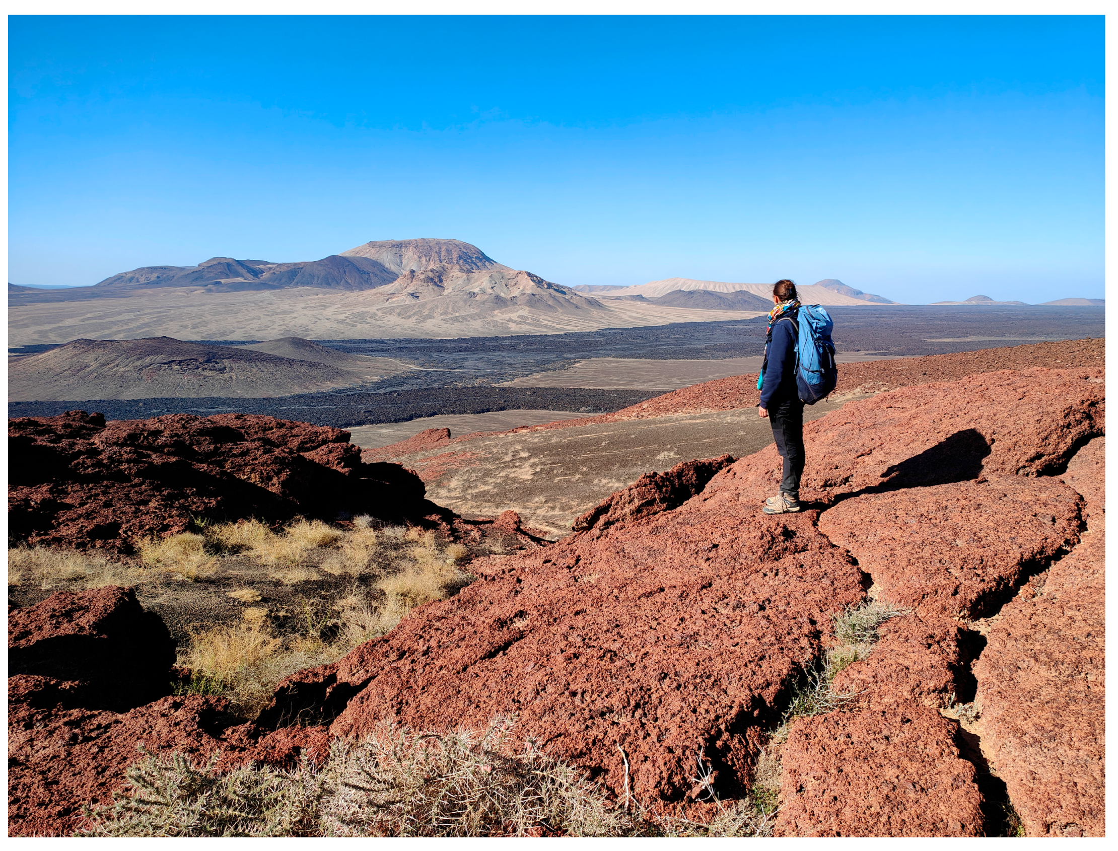 Plants 14 03423 g054