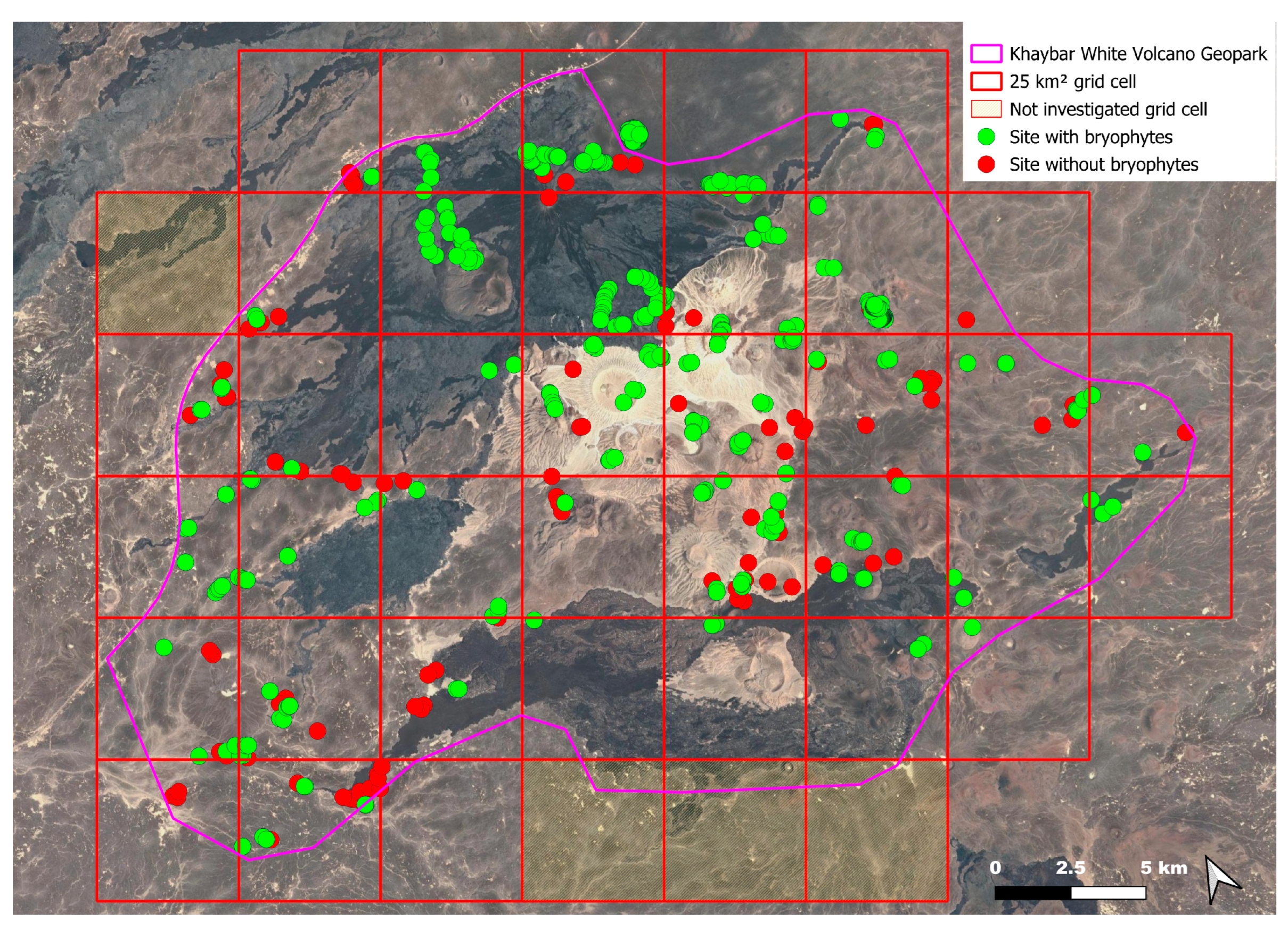 Plants 14 03423 g058