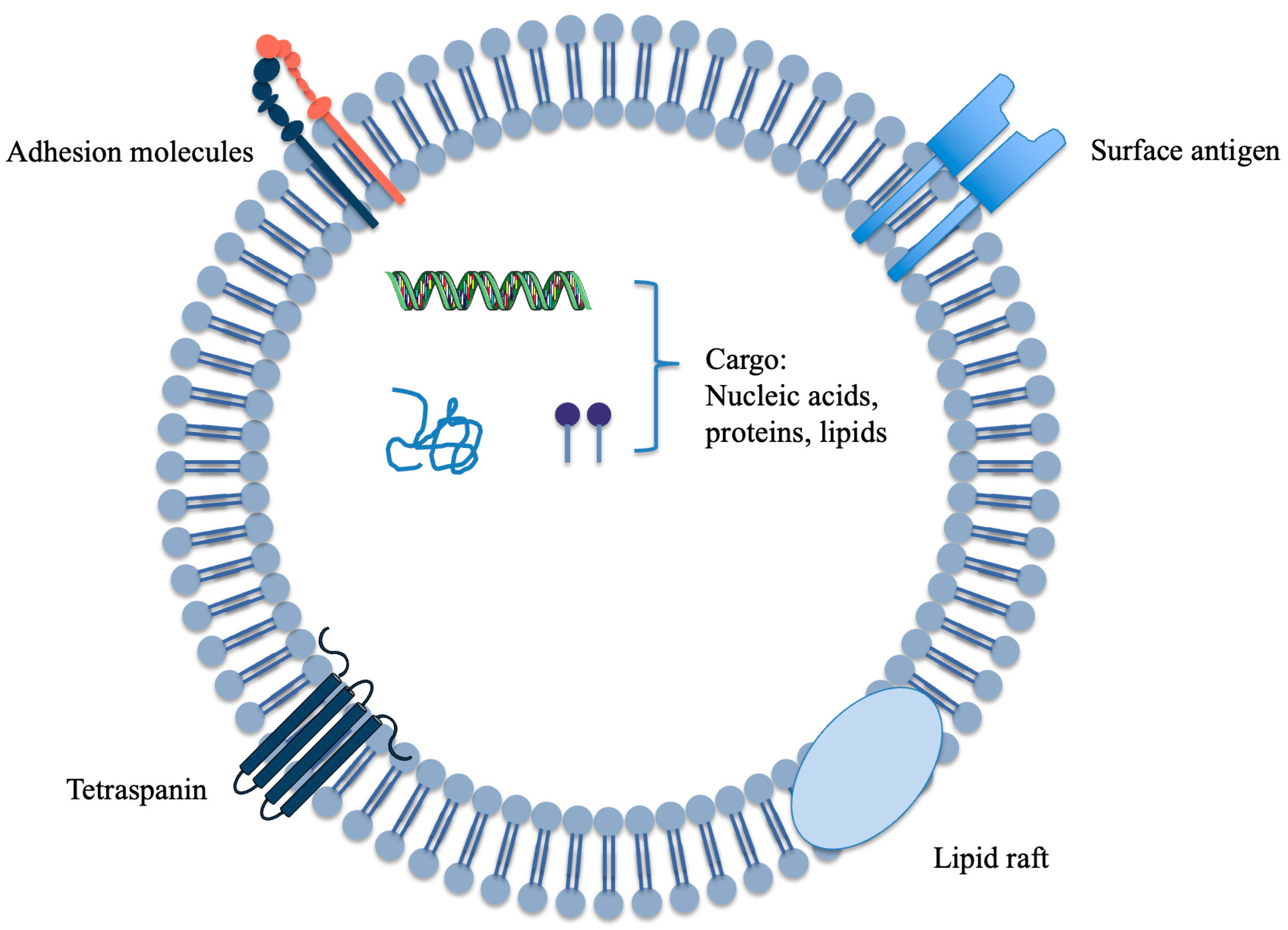 Plants 14 03425 g001