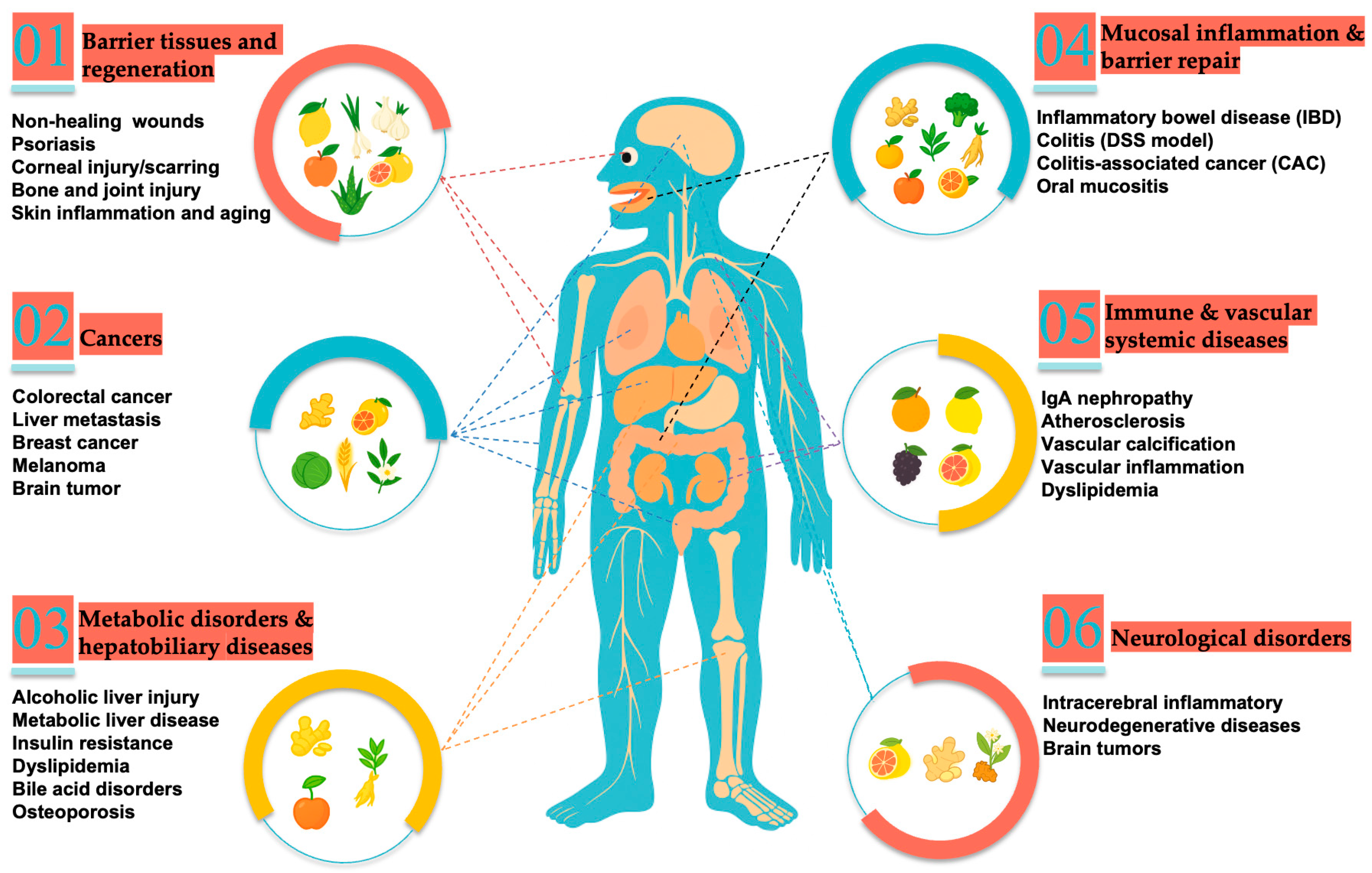 Plants 14 03425 g003