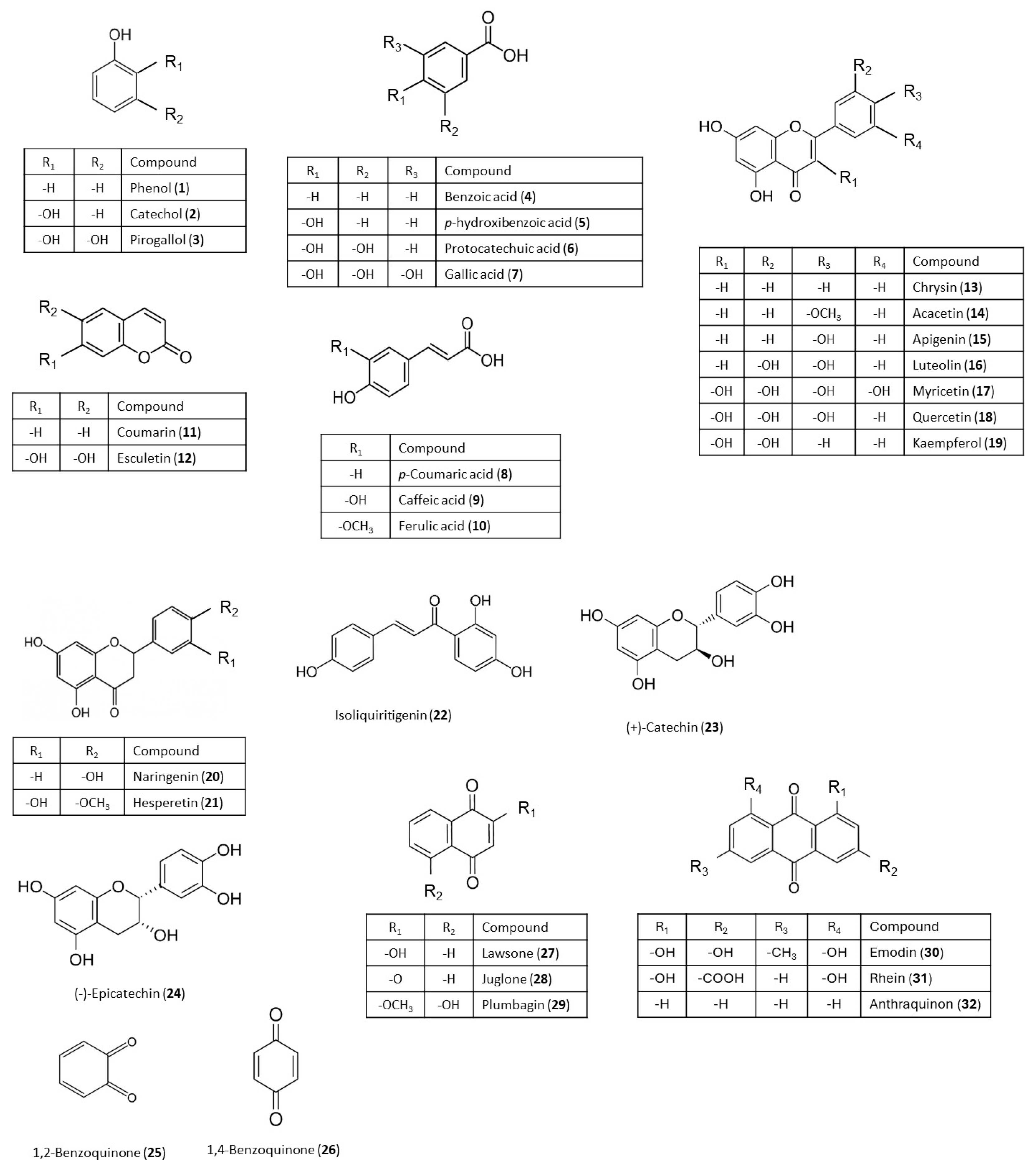 Plants 14 03427 g001