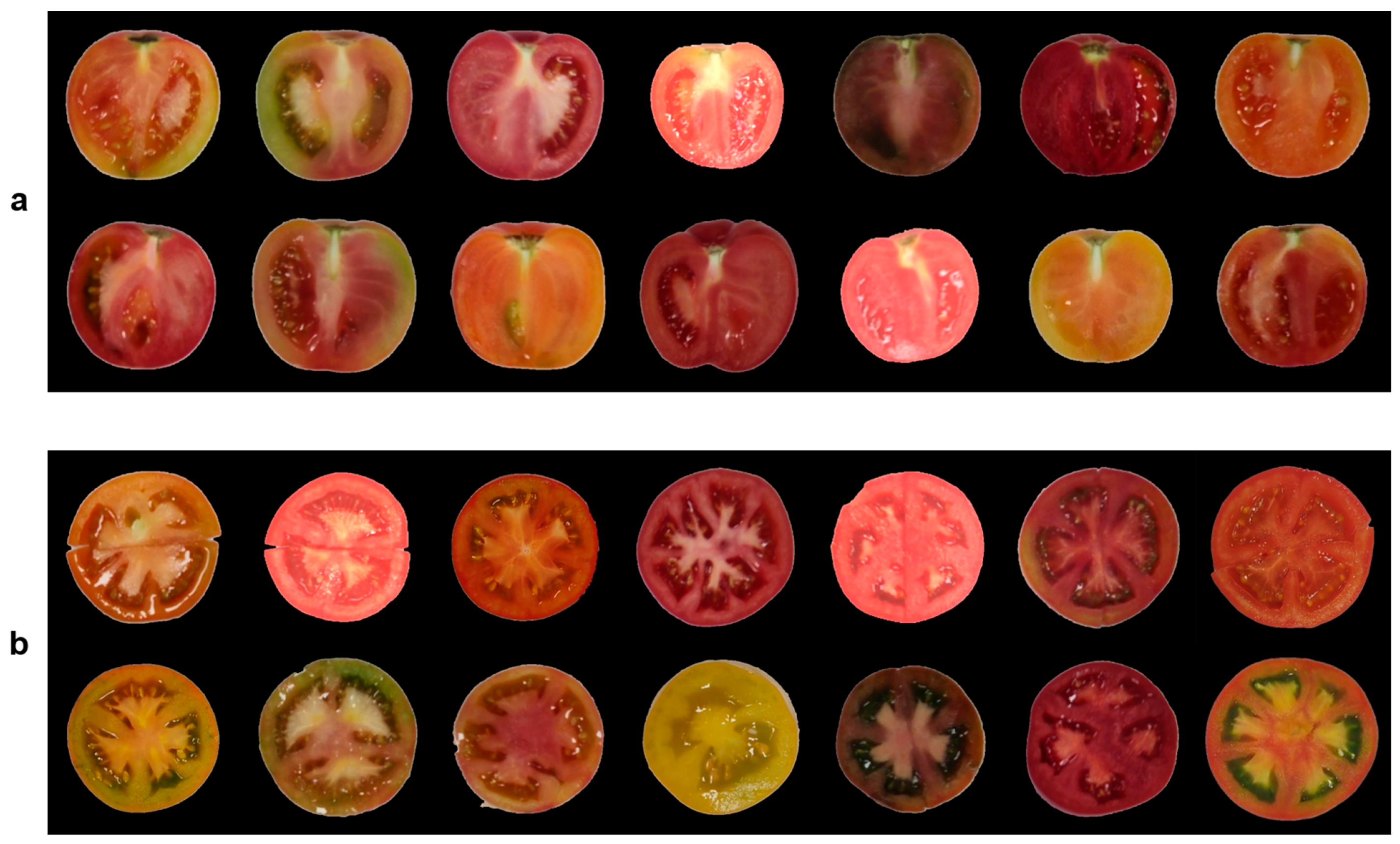 Plants 14 03434 g001