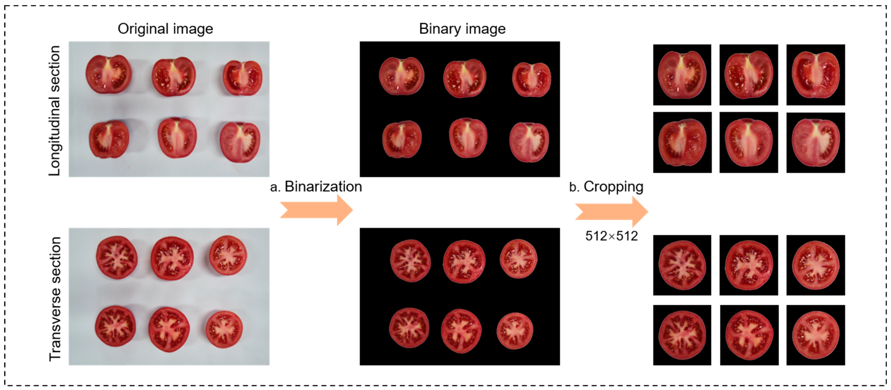 Plants 14 03434 g002