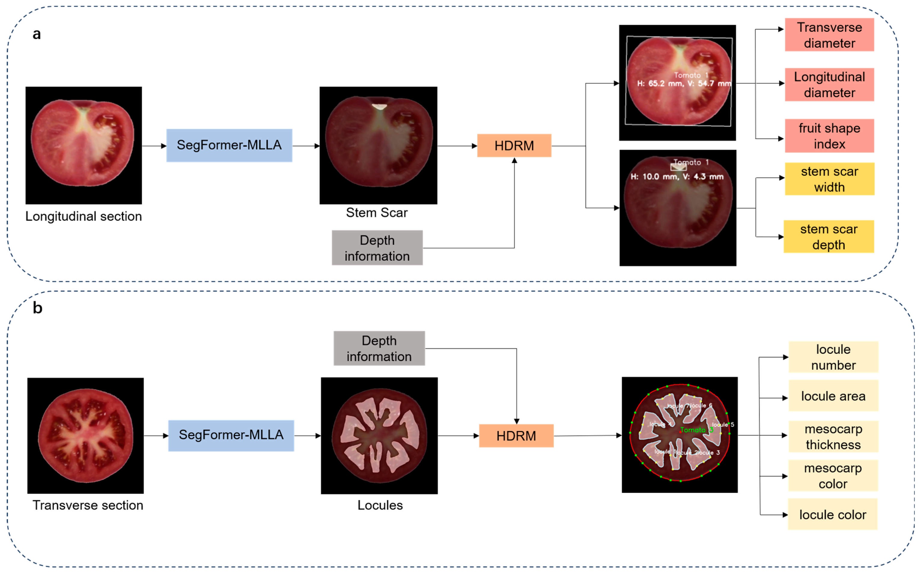 Plants 14 03434 g005