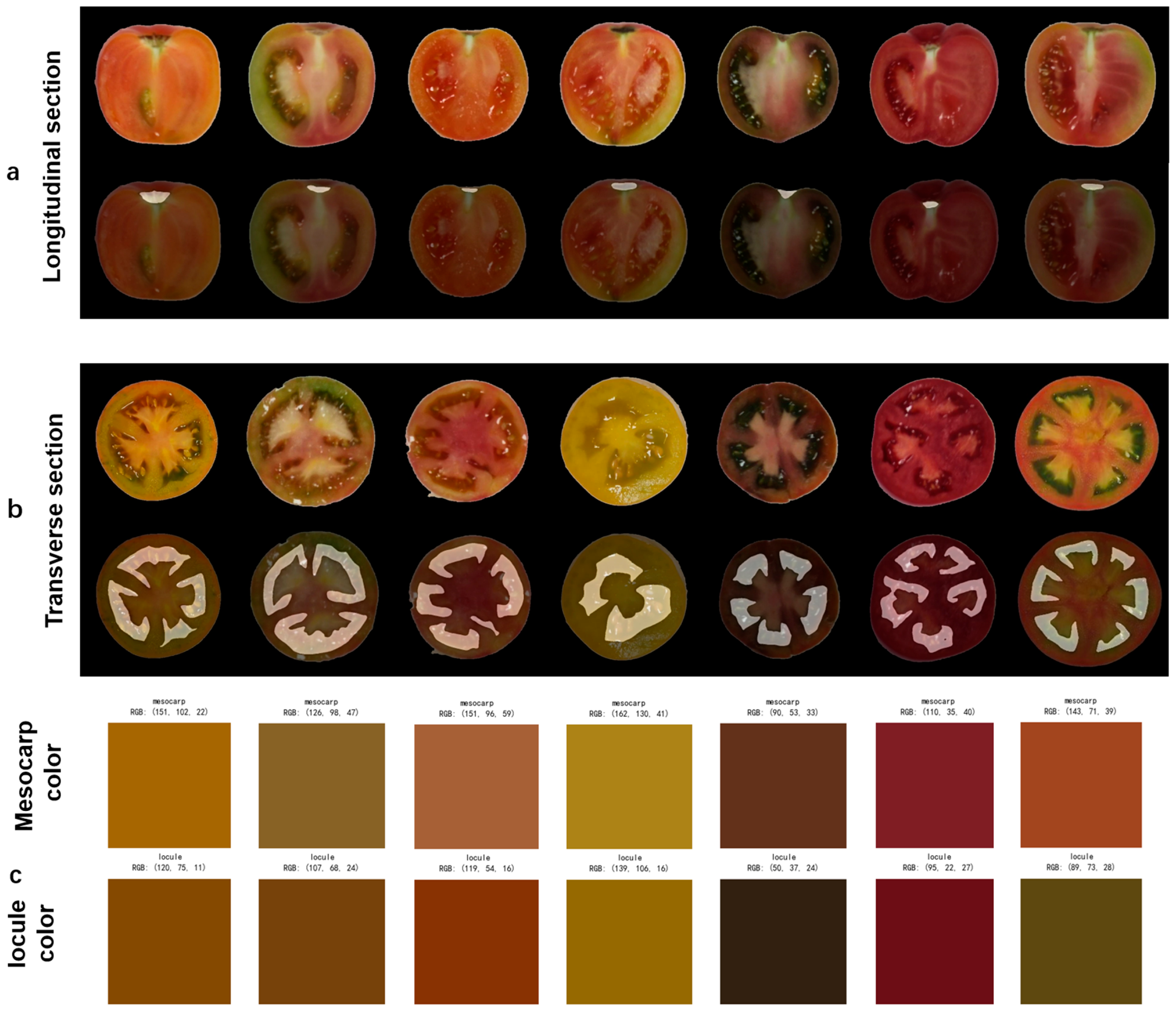 Plants 14 03434 g008