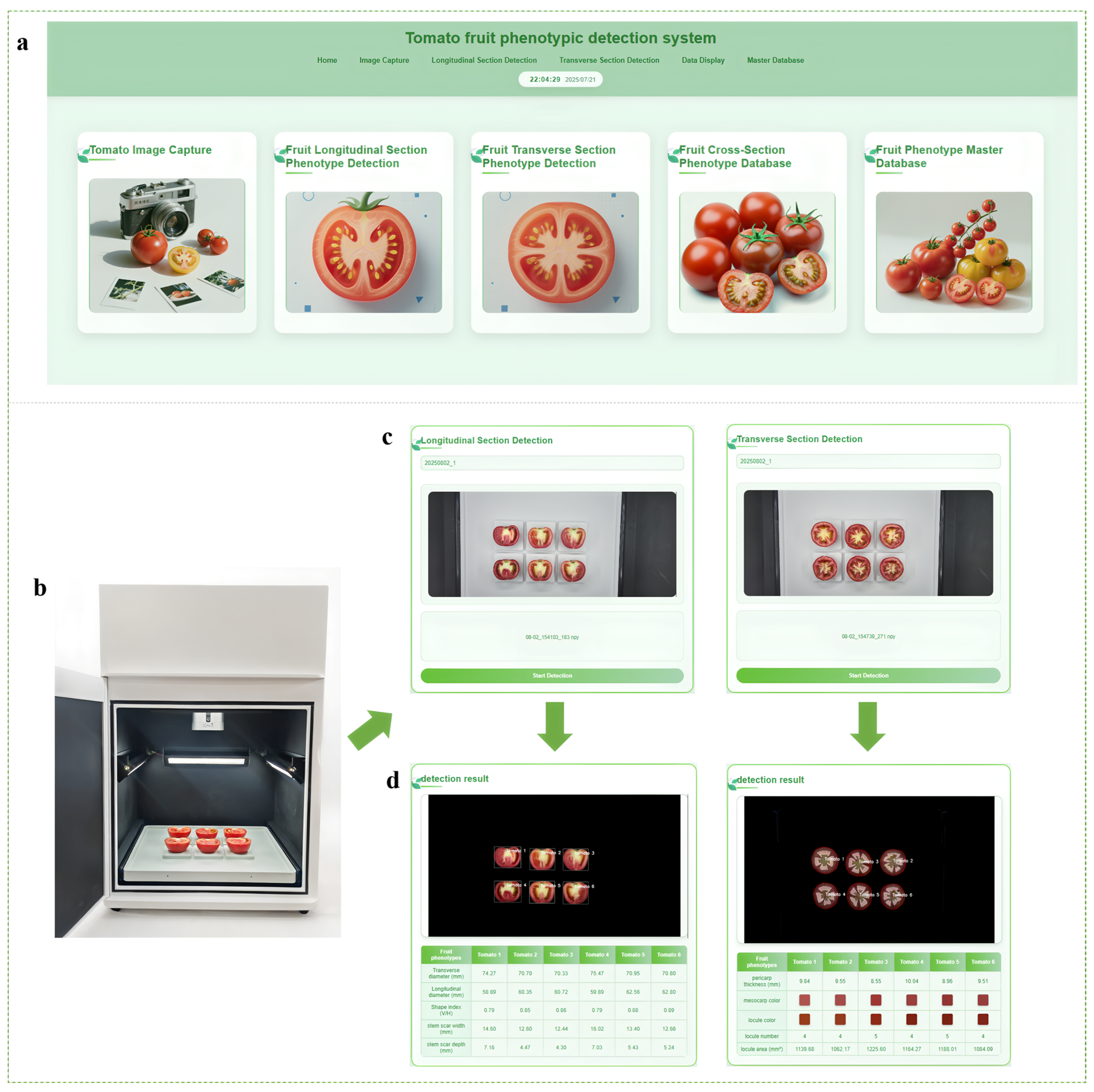 Plants 14 03434 g010