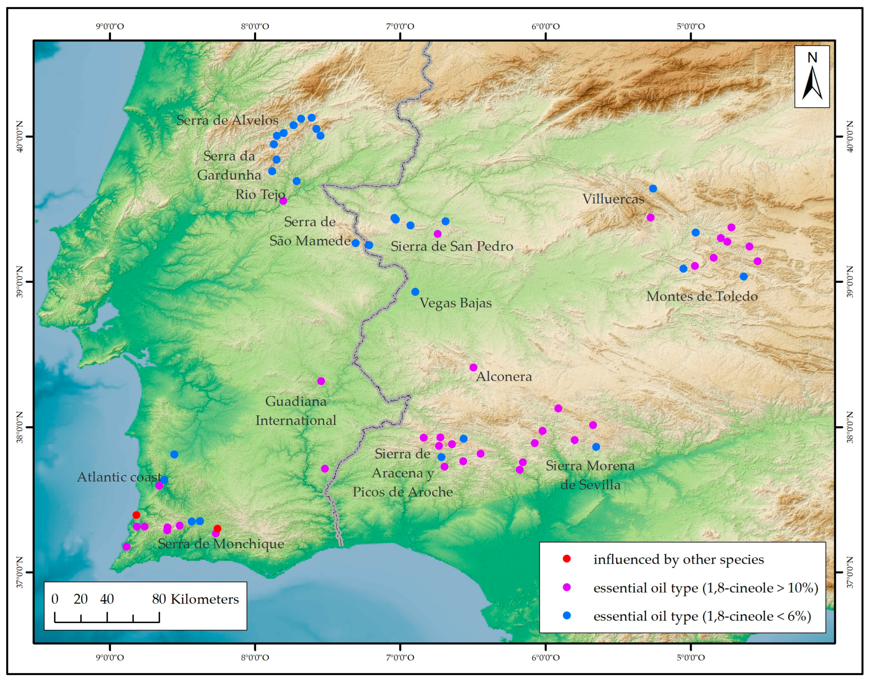 Plants 14 03435 g007 Plants 14 03435 g007