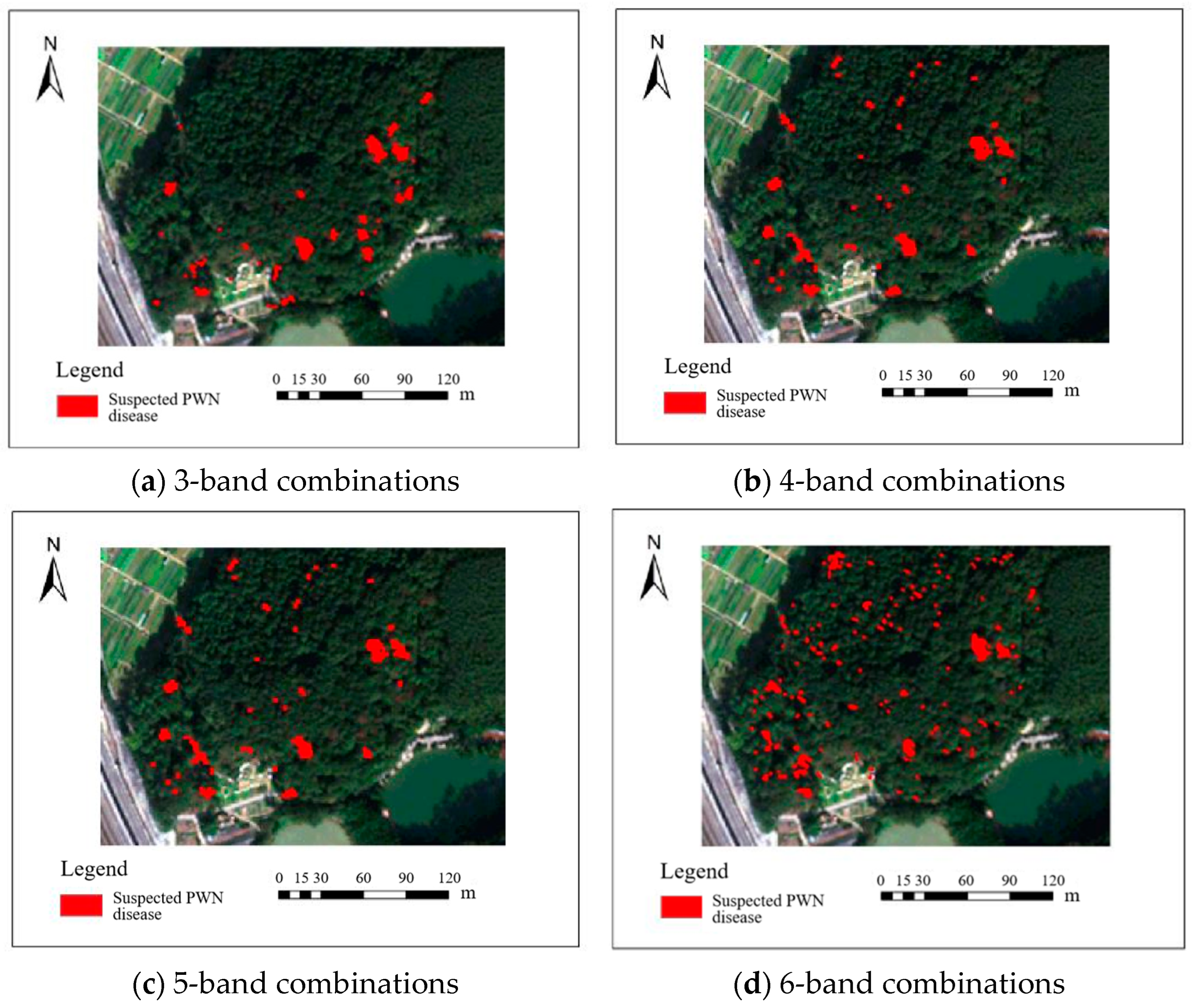 Plants 14 03436 g003