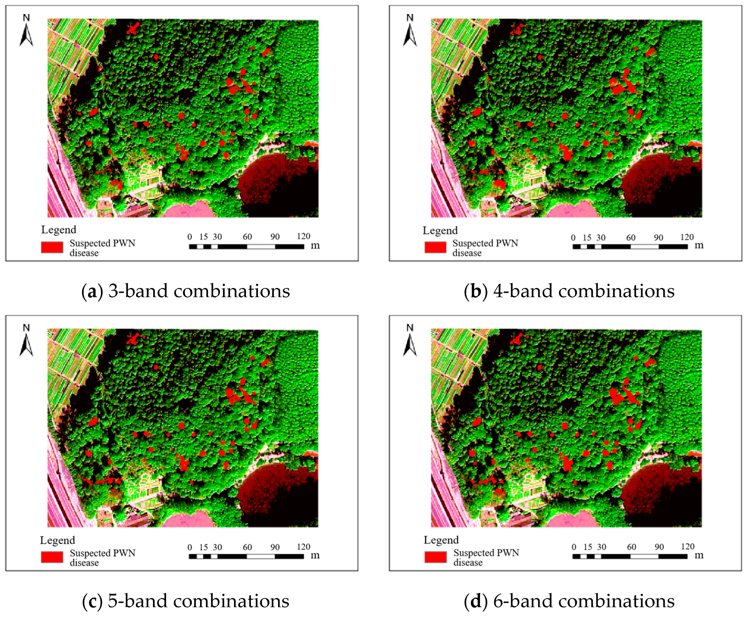 Plants 14 03436 g004