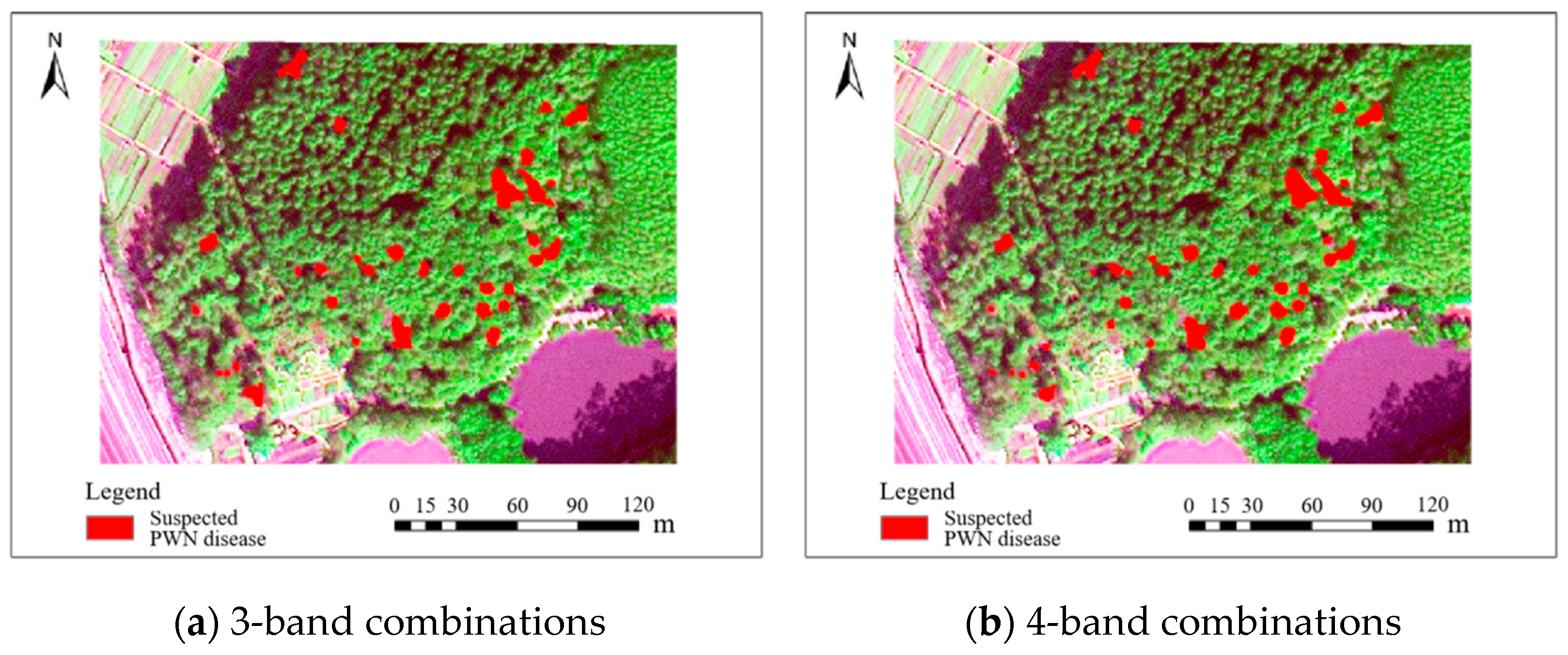 Plants 14 03436 g006