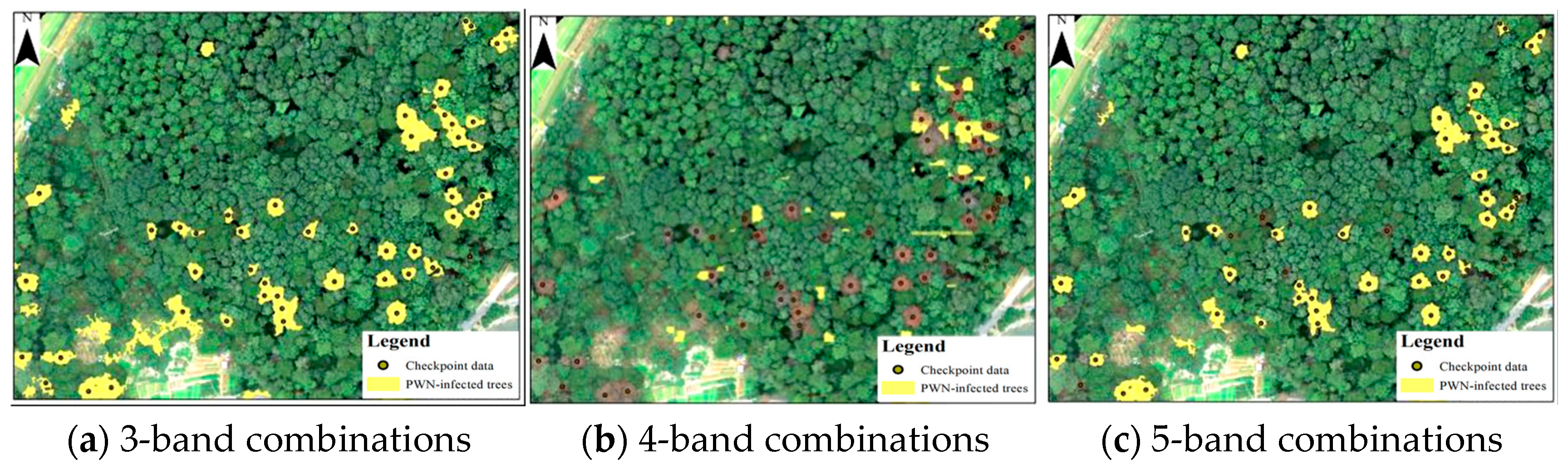 Plants 14 03436 g007