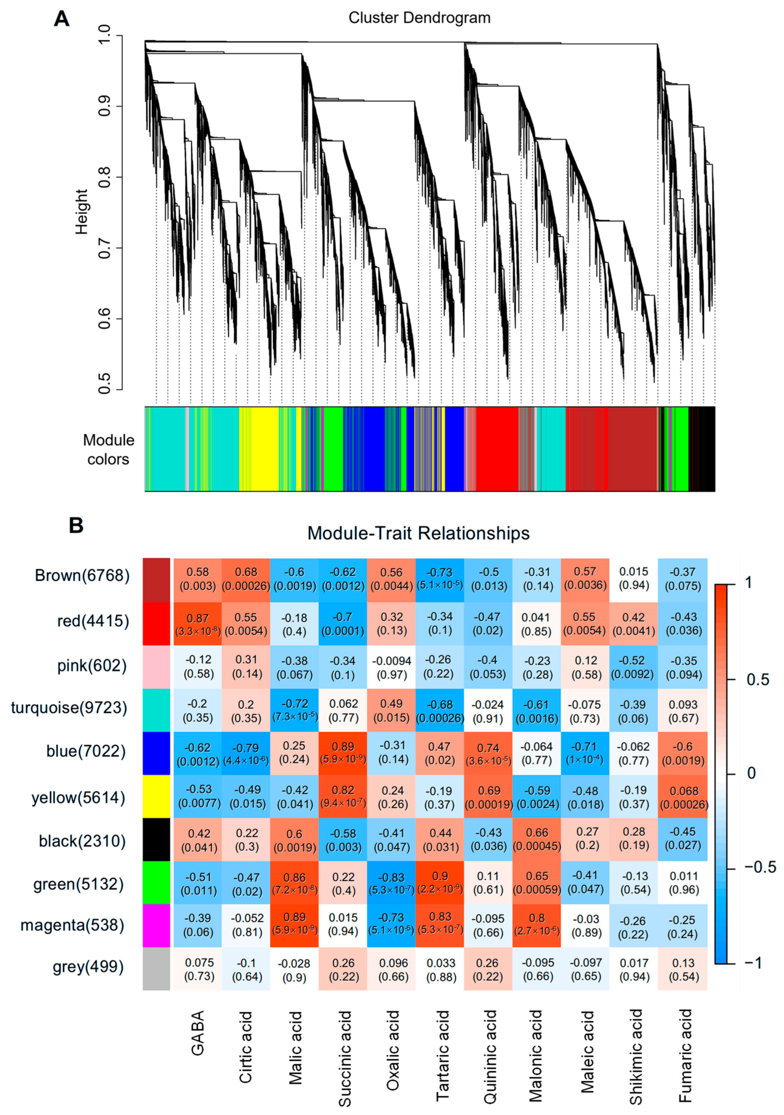 Plants 14 03437 g003