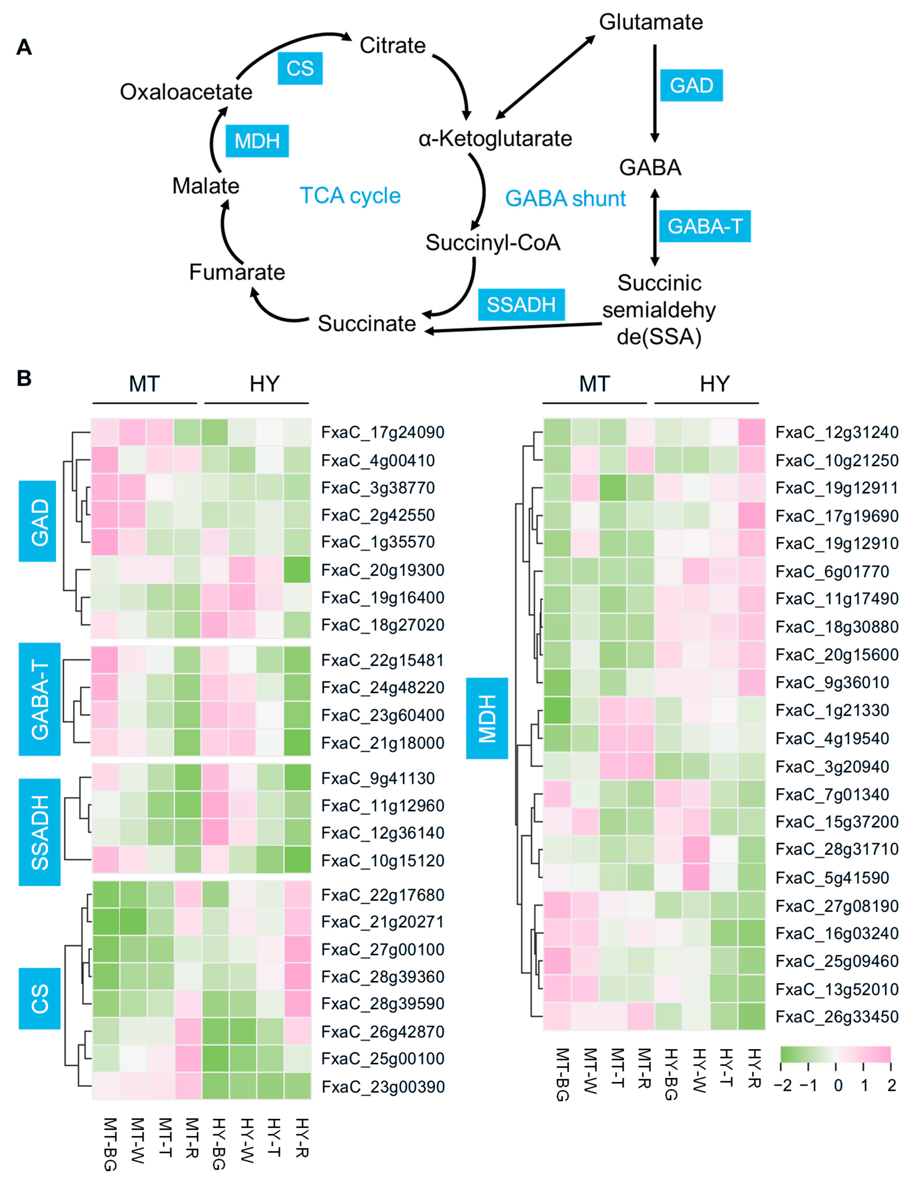 Plants 14 03437 g004