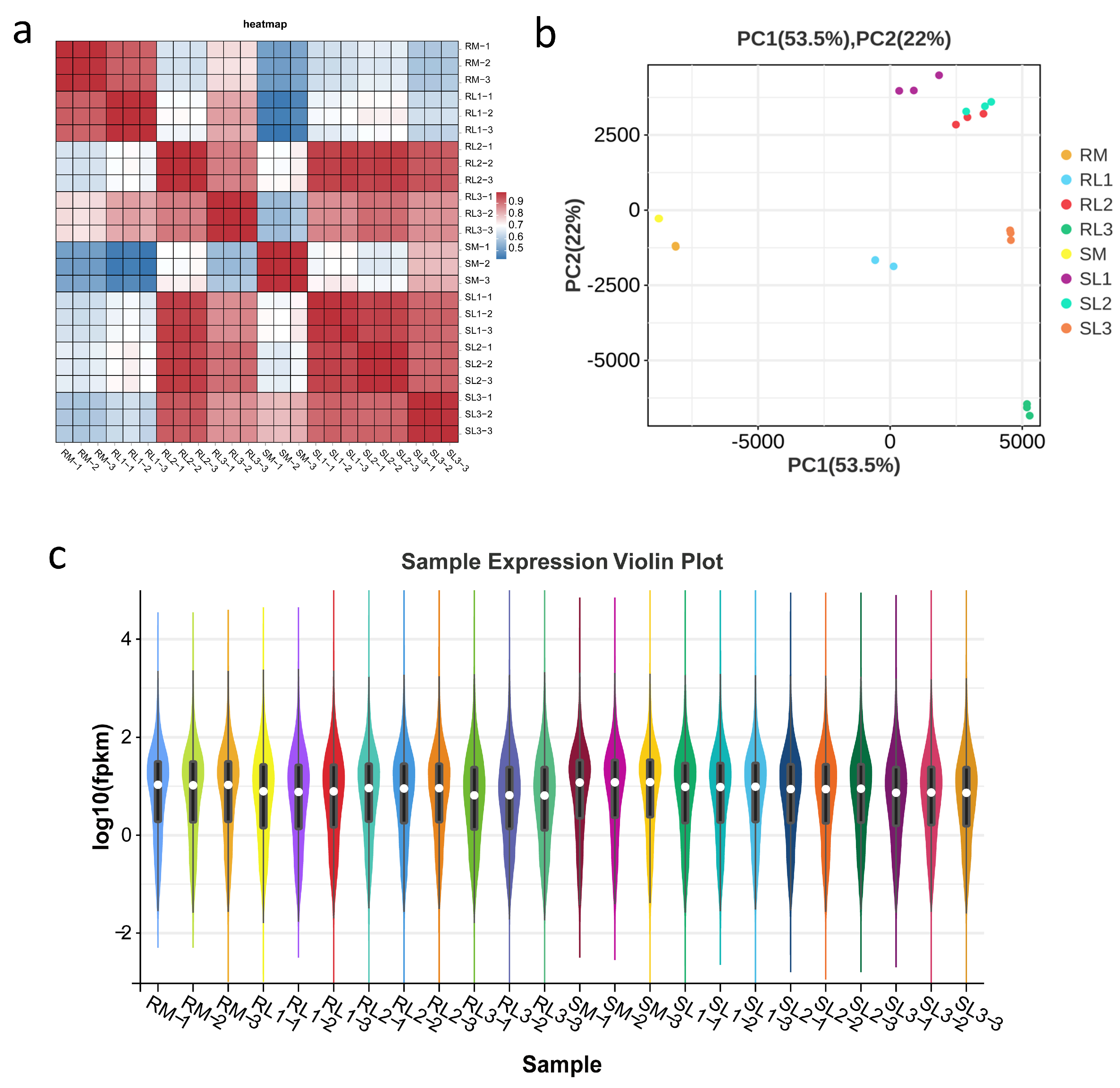 Plants 14 03440 g002