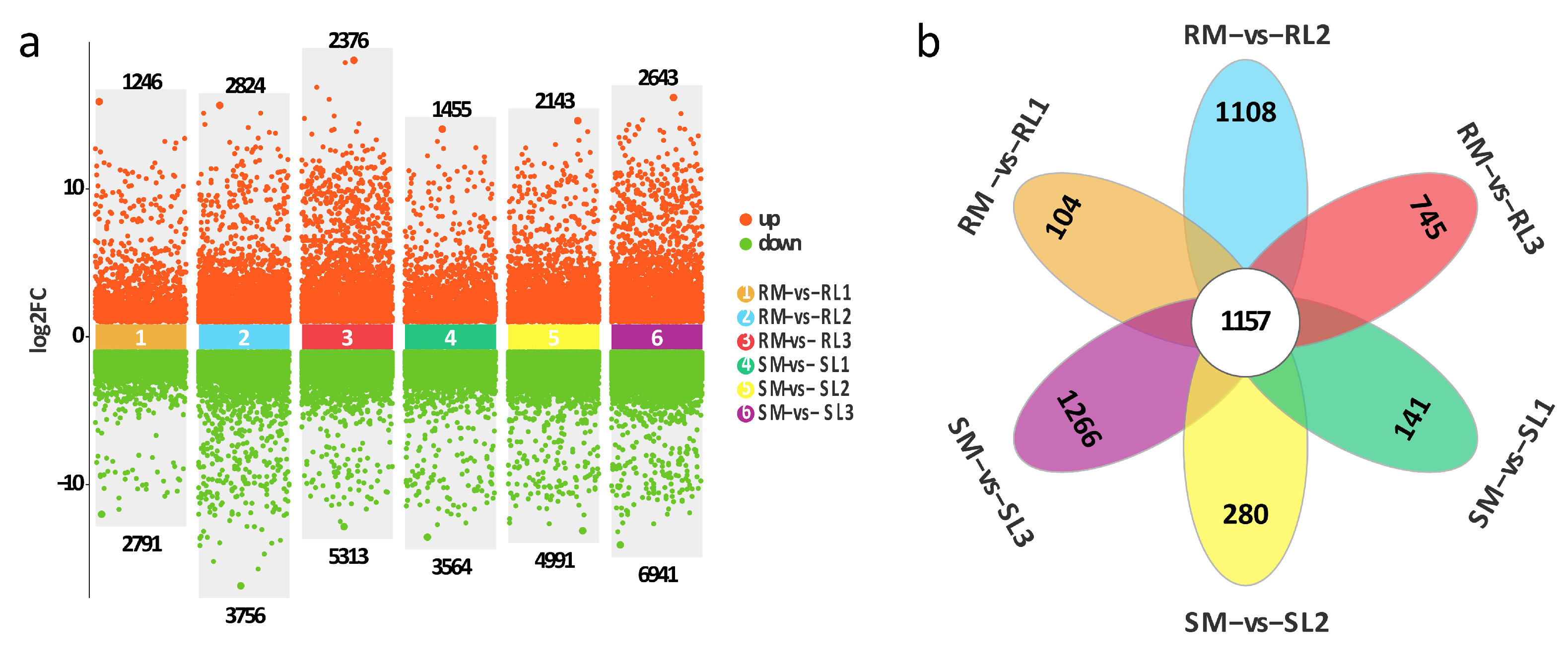 Plants 14 03440 g003