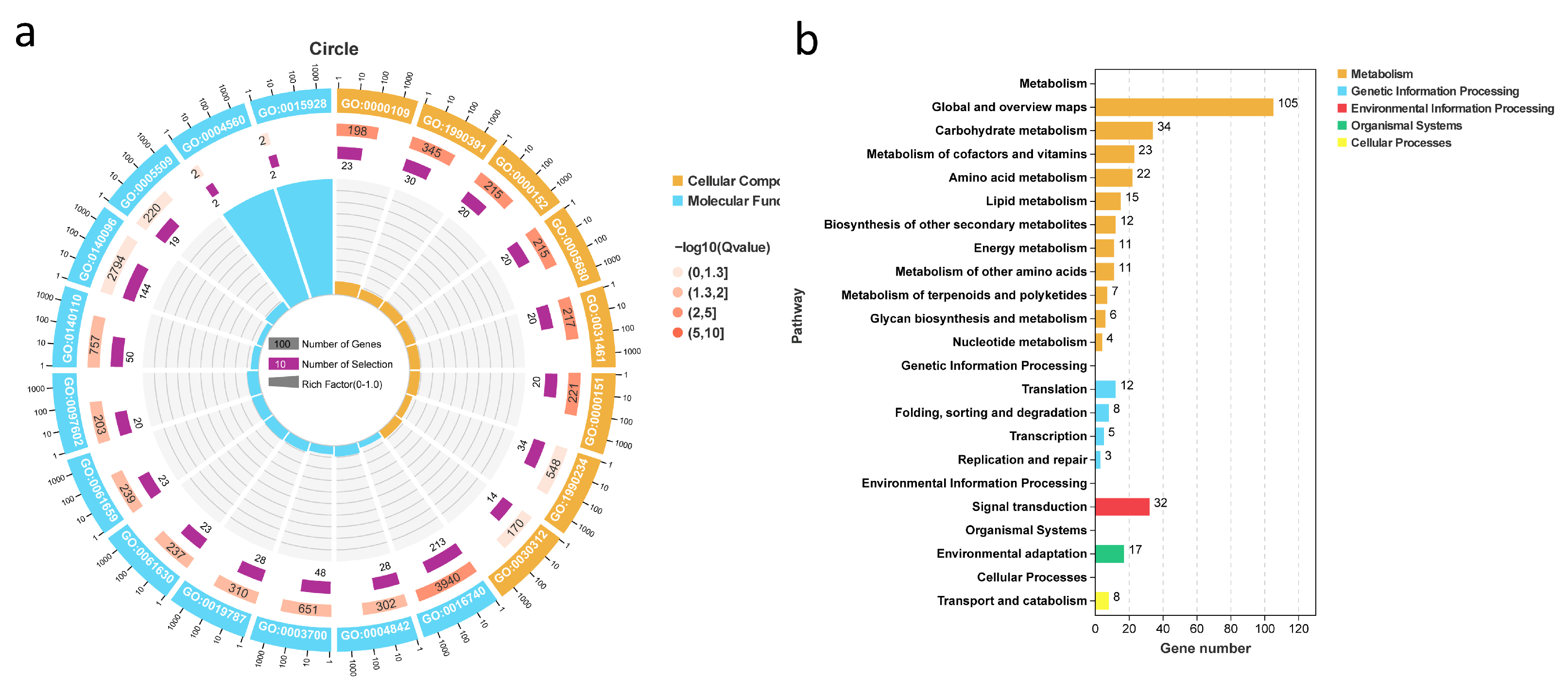 Plants 14 03440 g004