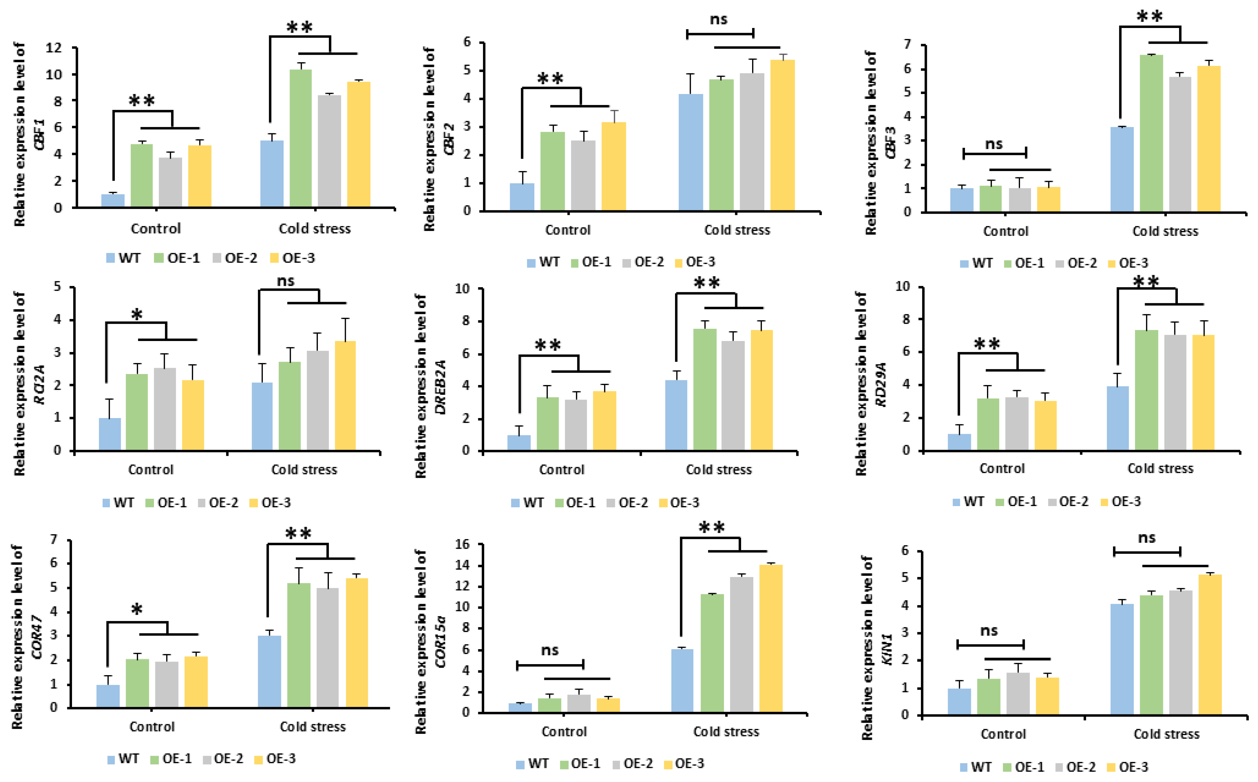 Plants 14 03440 g008
