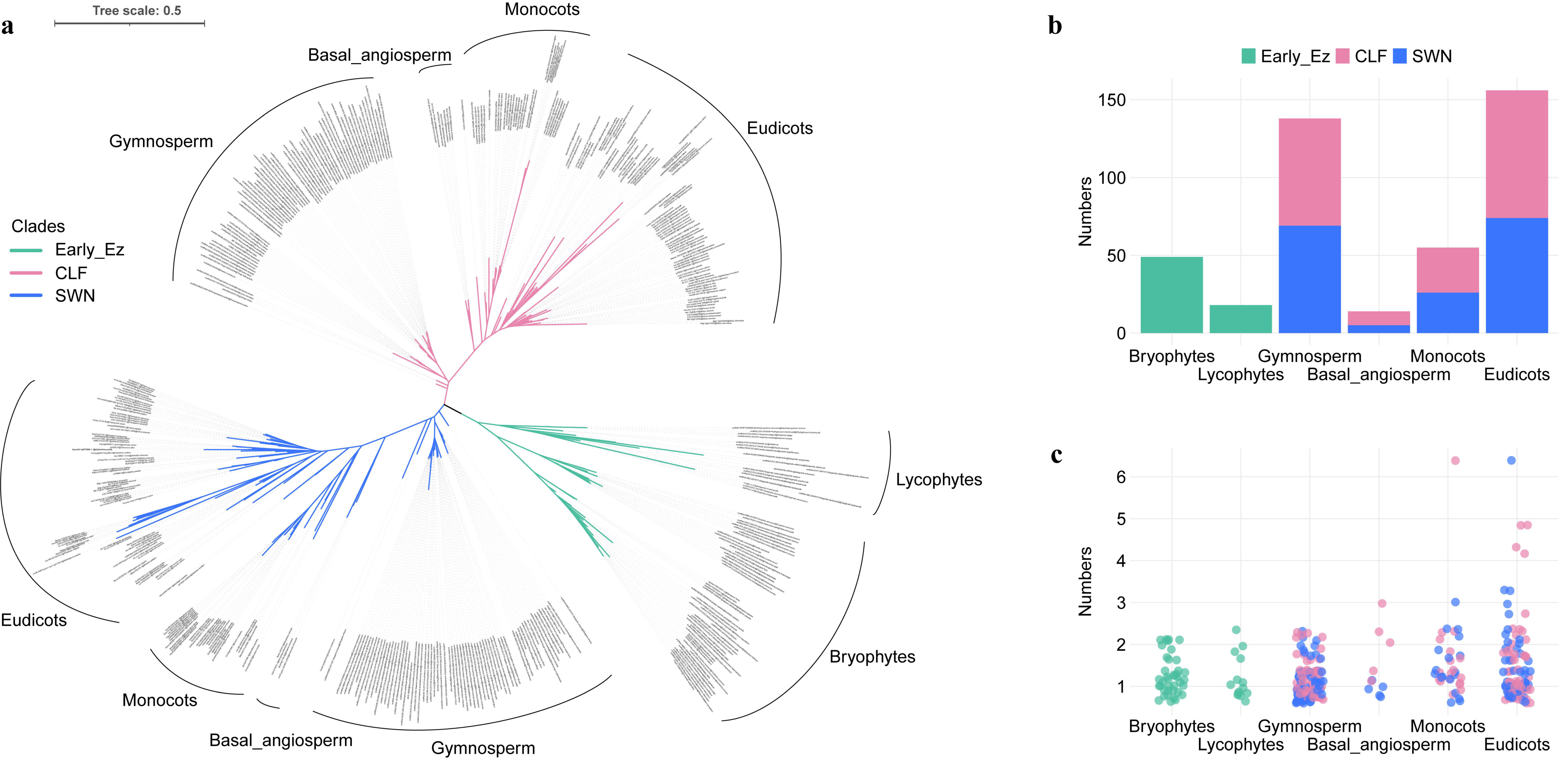 Plants 14 03444 g001