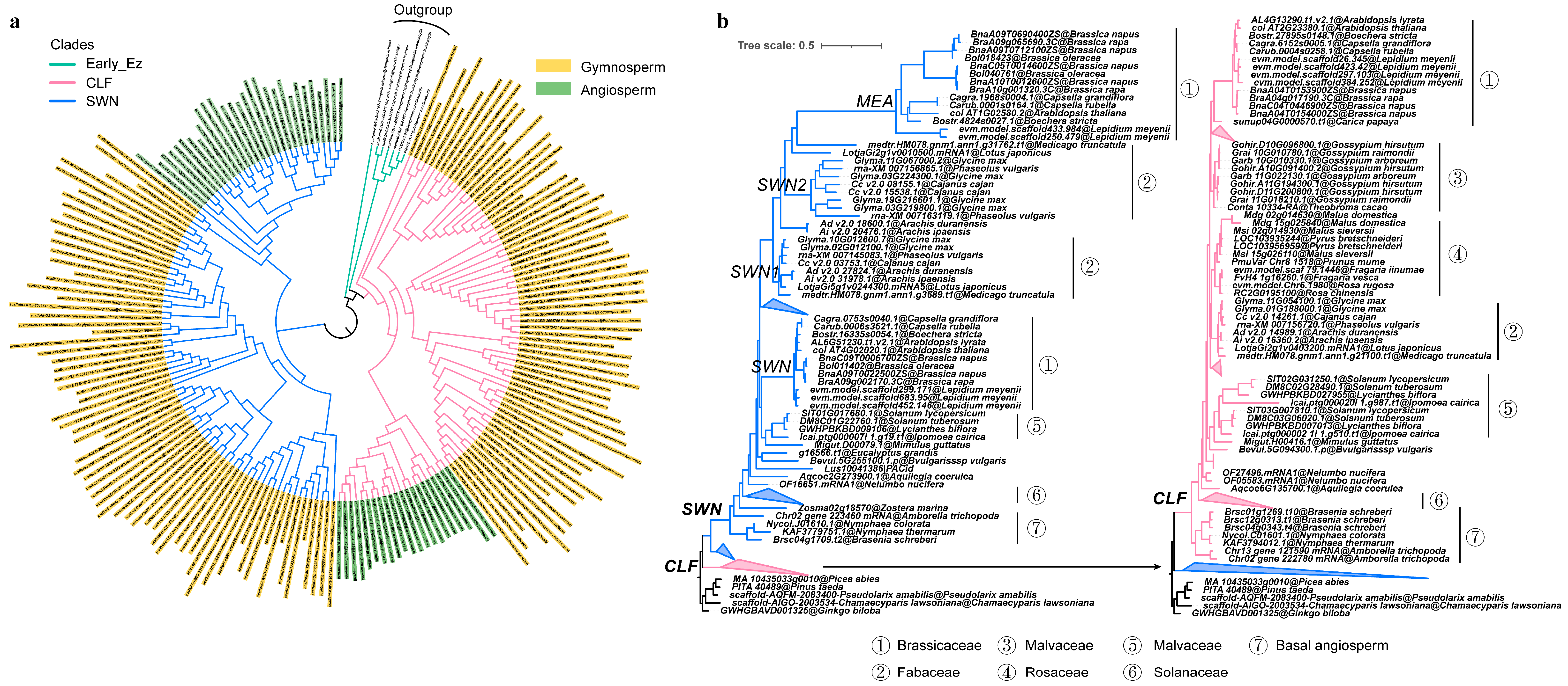 Plants 14 03444 g002