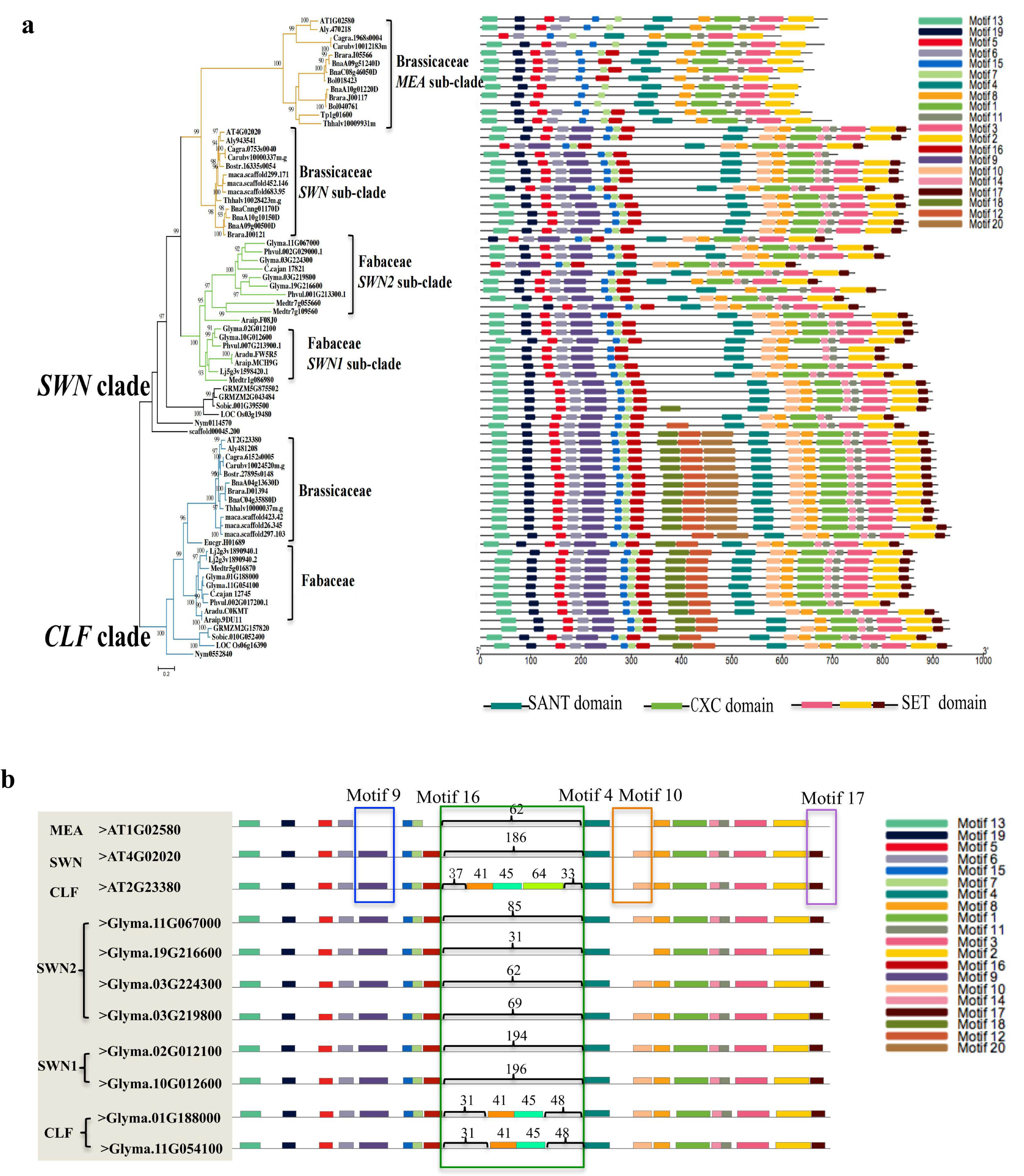 Plants 14 03444 g003