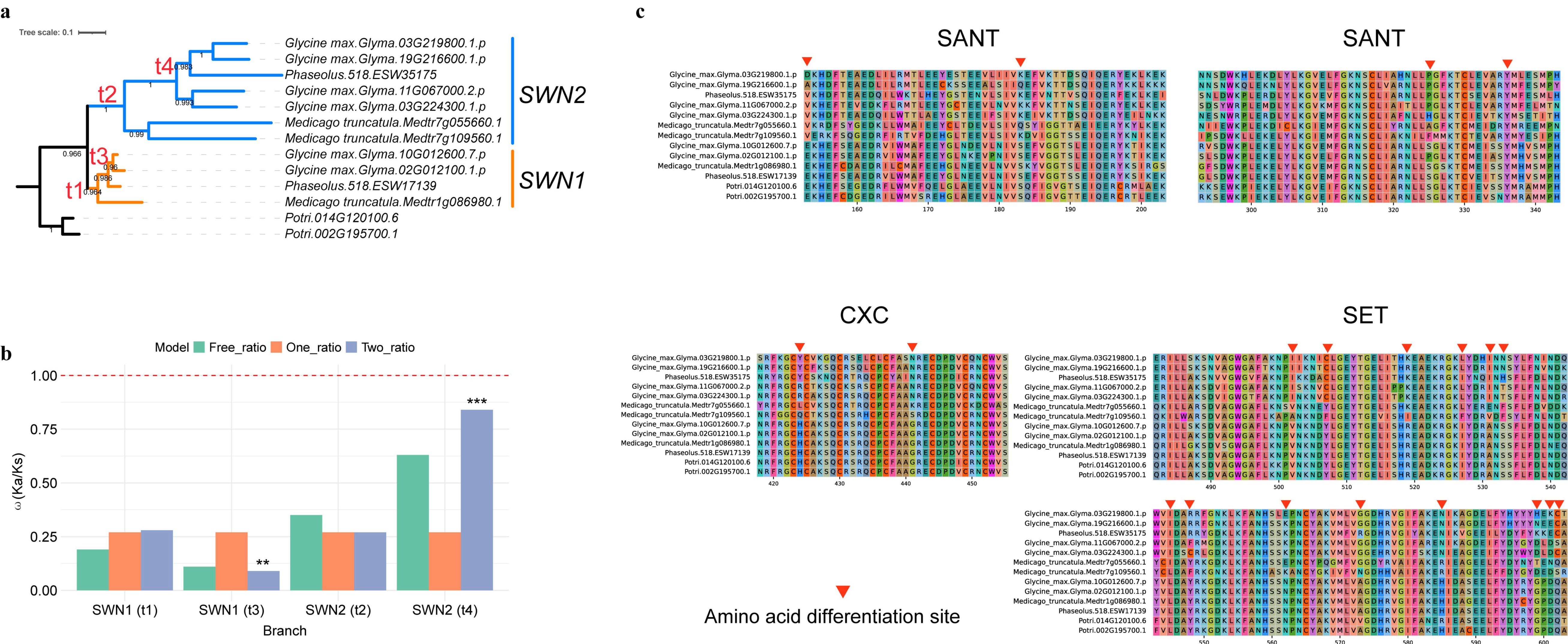 Plants 14 03444 g004