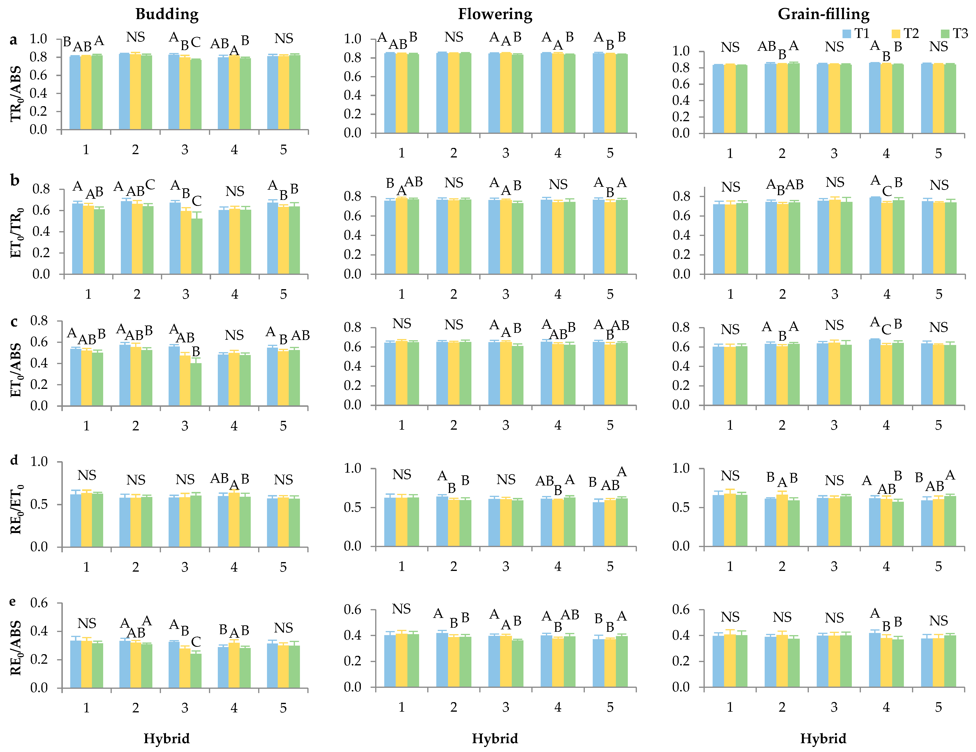 Plants 14 03446 g003