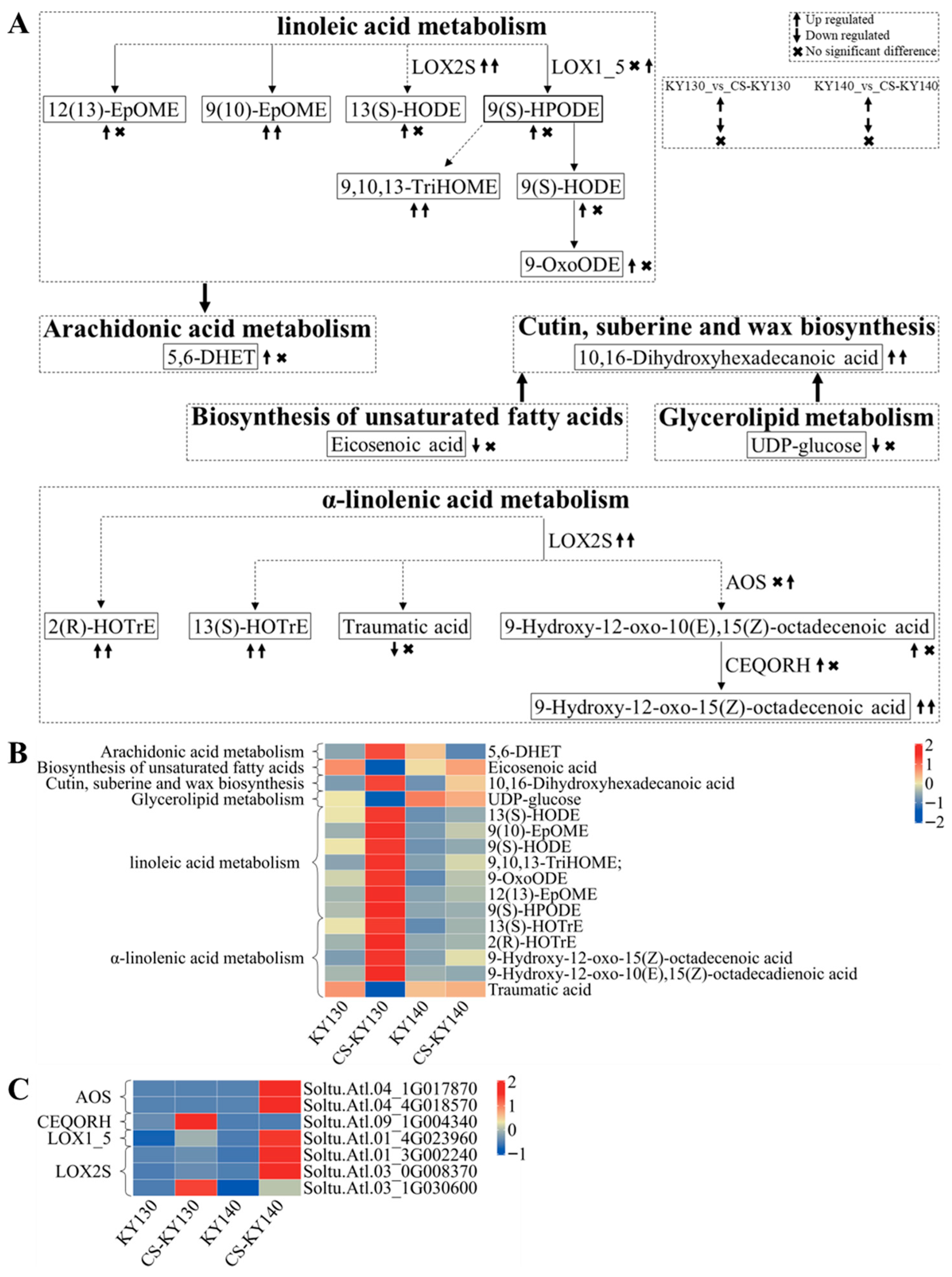 Plants 14 03447 g010