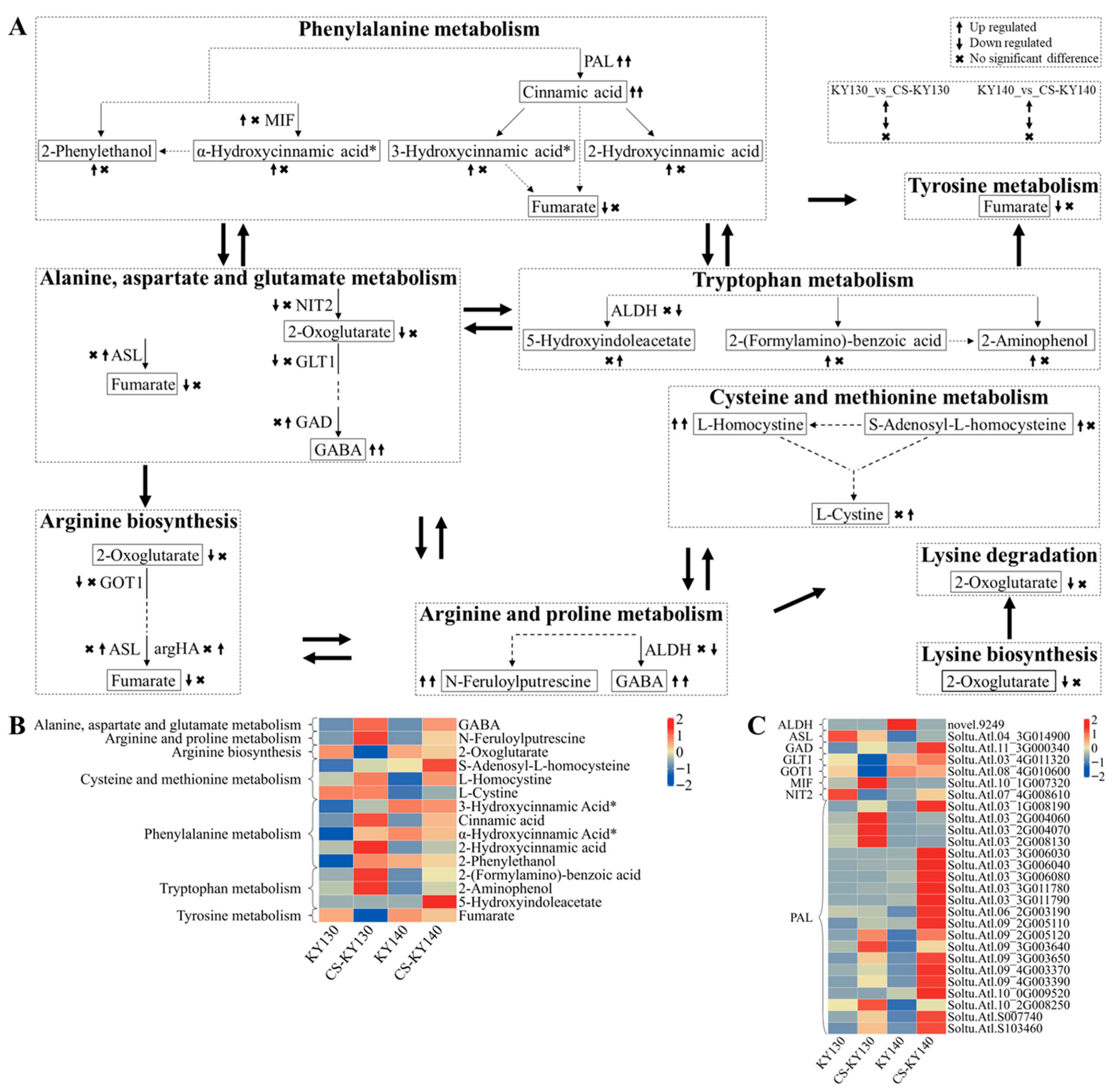 Plants 14 03447 g011