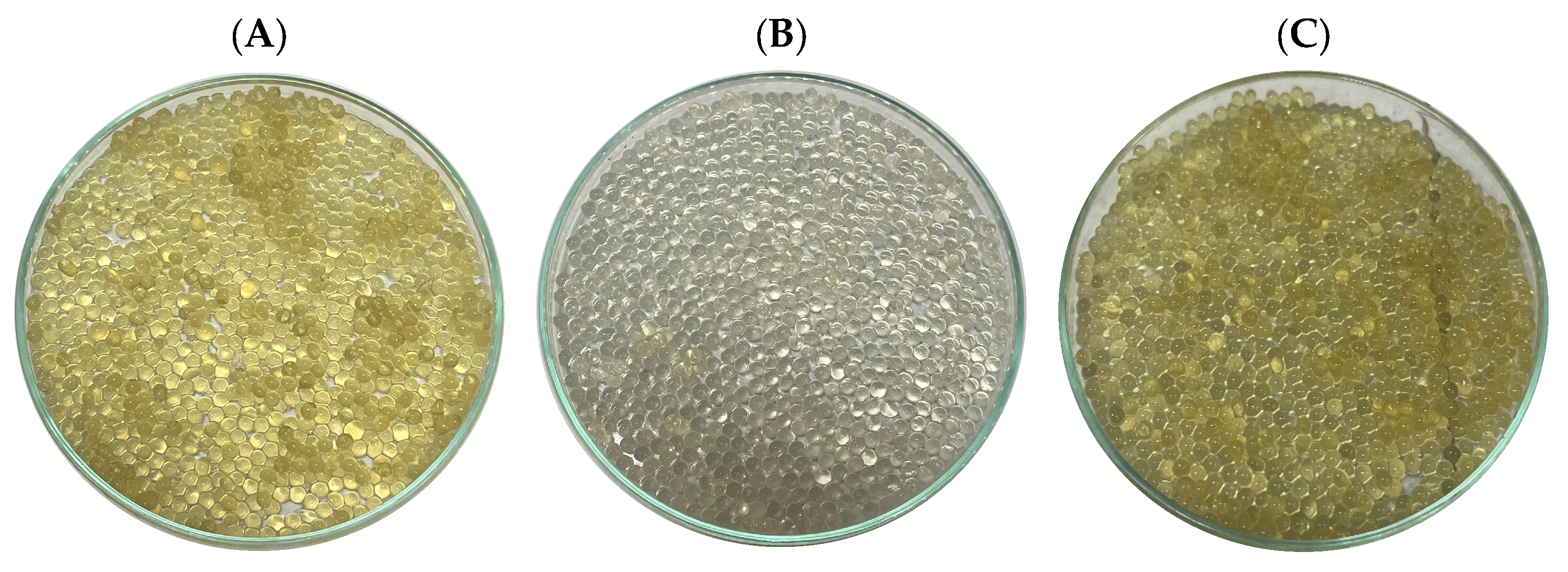 Plants 14 03448 g004