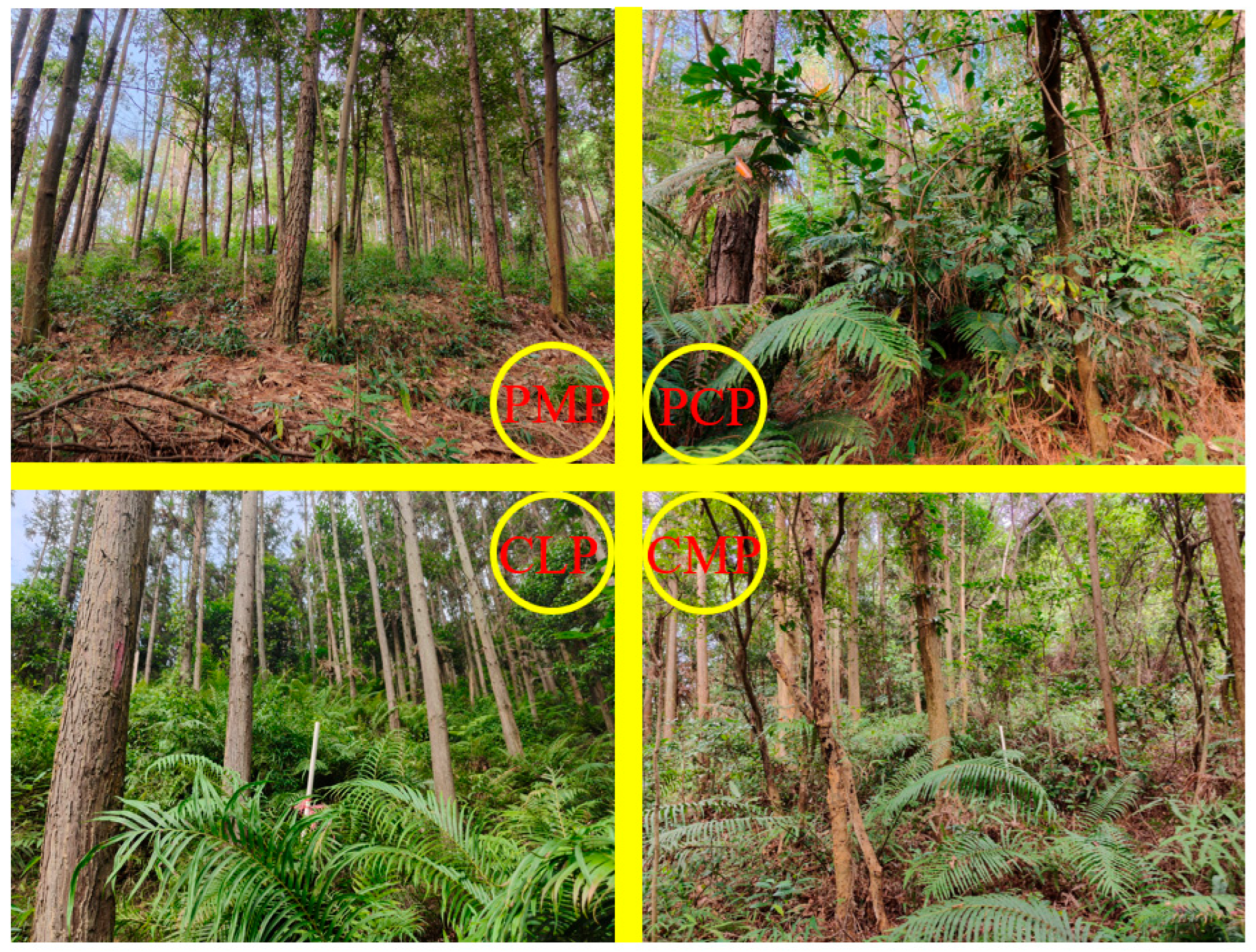 Plants 14 03452 g005