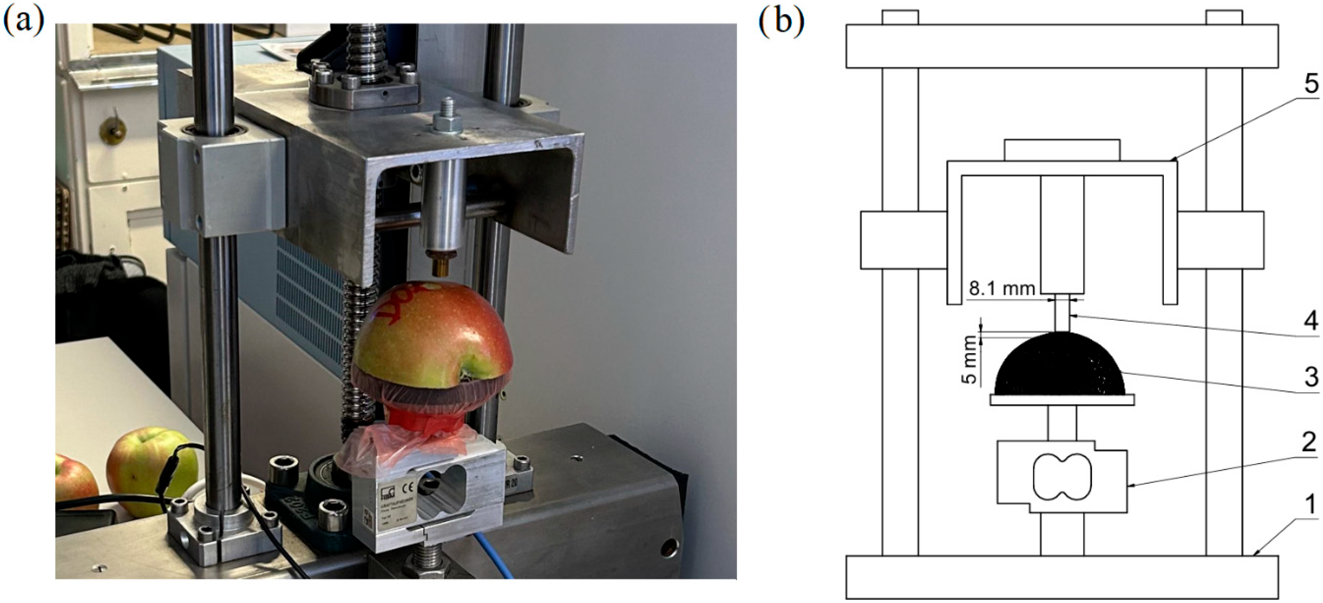 Plants 14 03455 g001