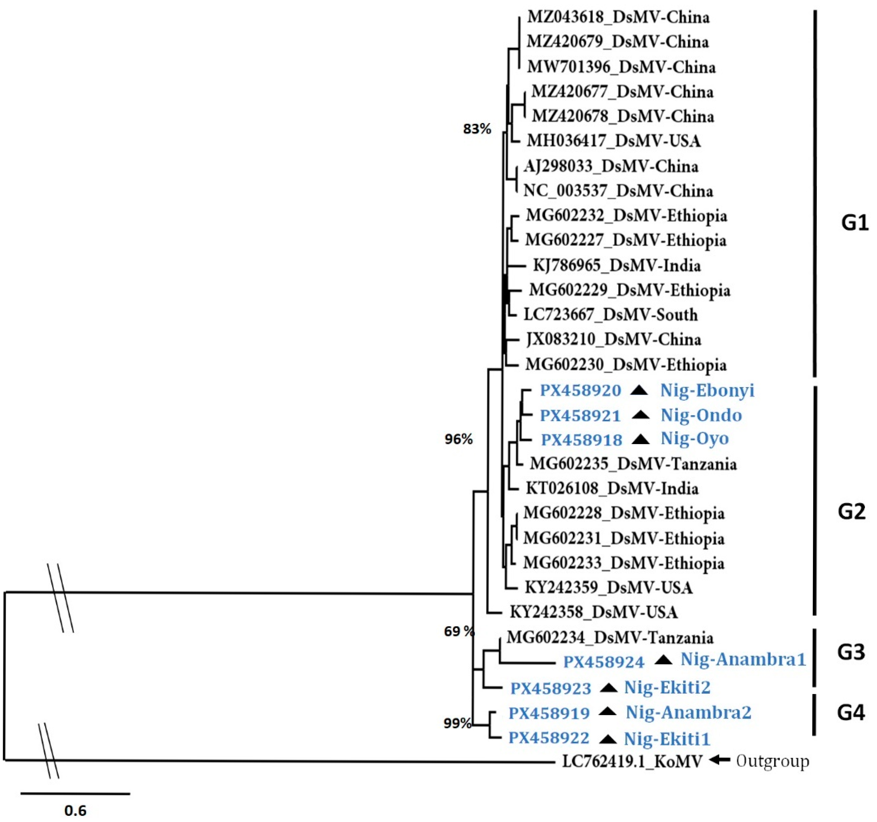 Plants 14 03457 g003